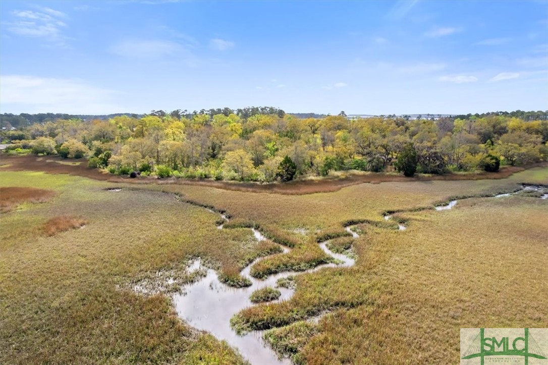 Homes for sale in Midway, GA | Lot 6 Bermuda Bluff Ln, Midway, GA 31320 | MLS# SA330033