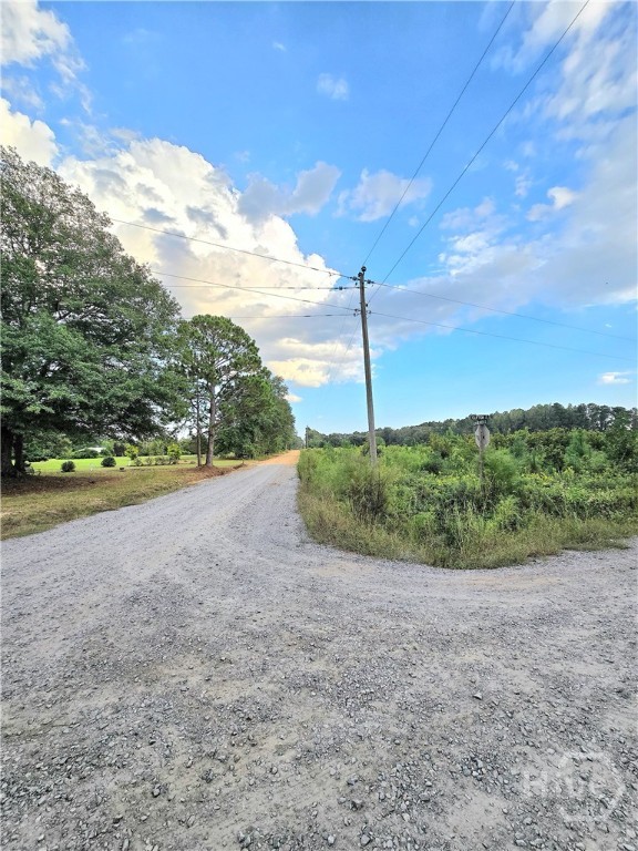 Homes for sale in Statesboro, GA | 0 G W Oliver Rd, Statesboro, GA 30458 | MLS# SA340501