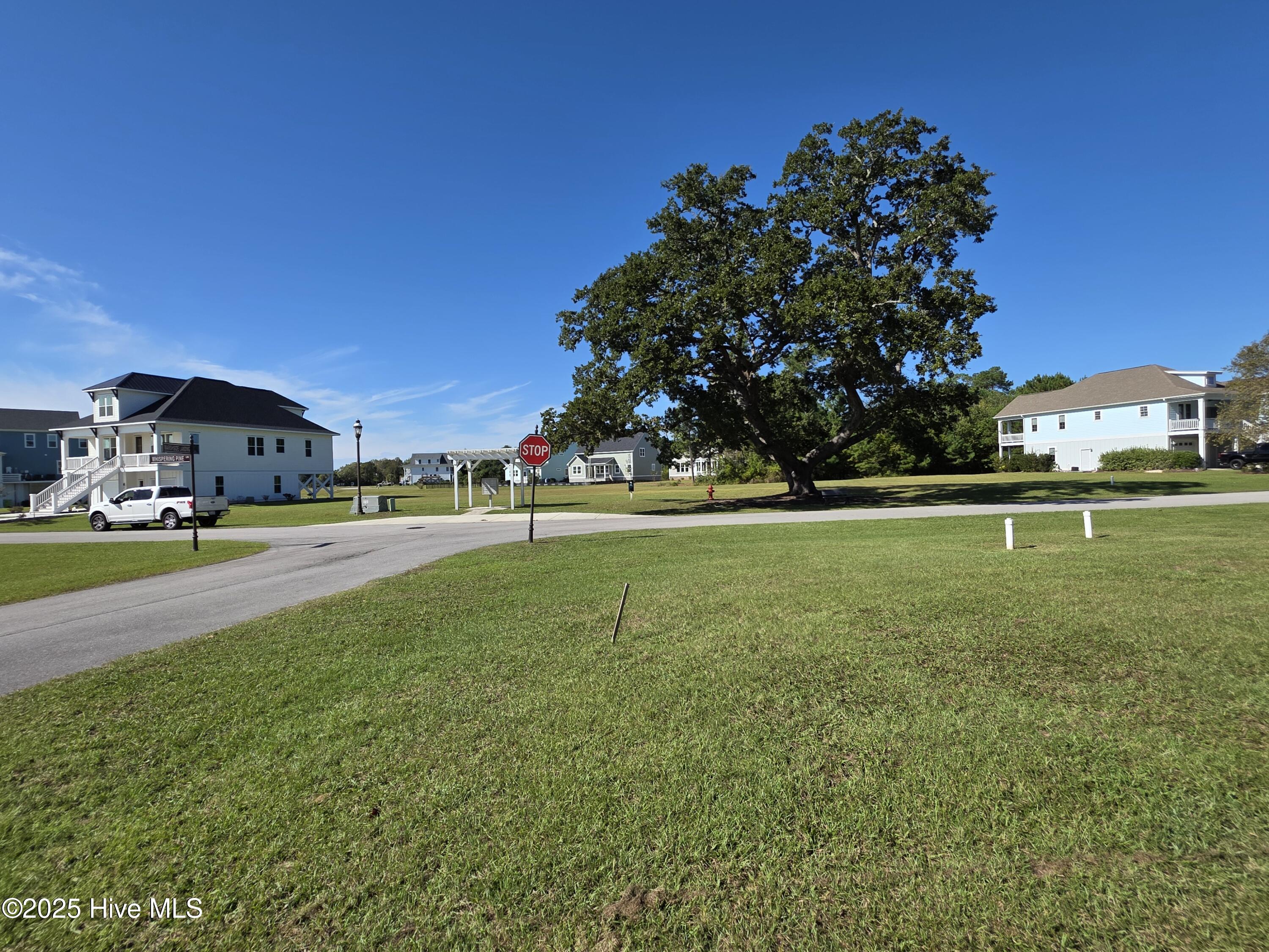 100564274 | Photo 27