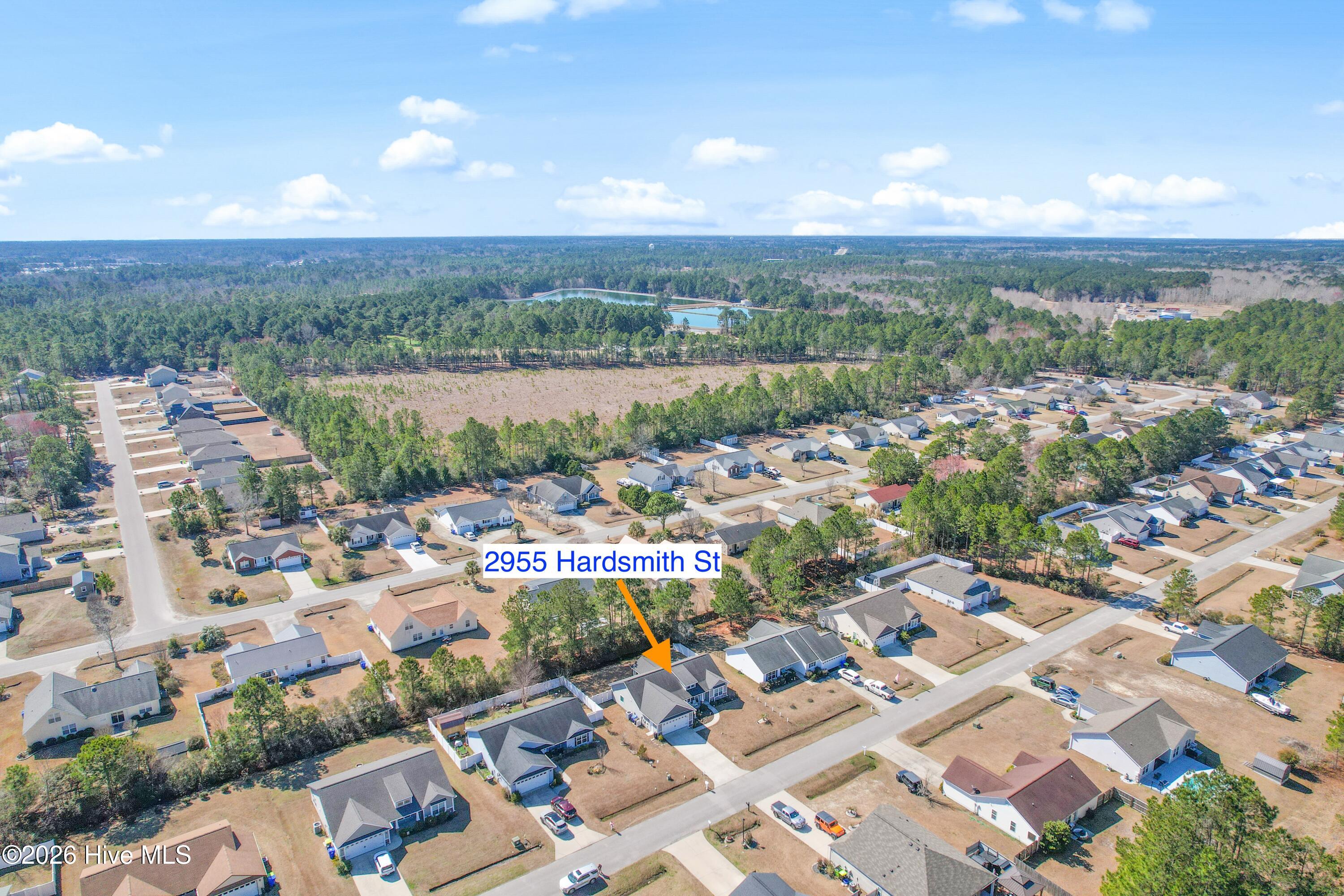 100556546 | Photo 38