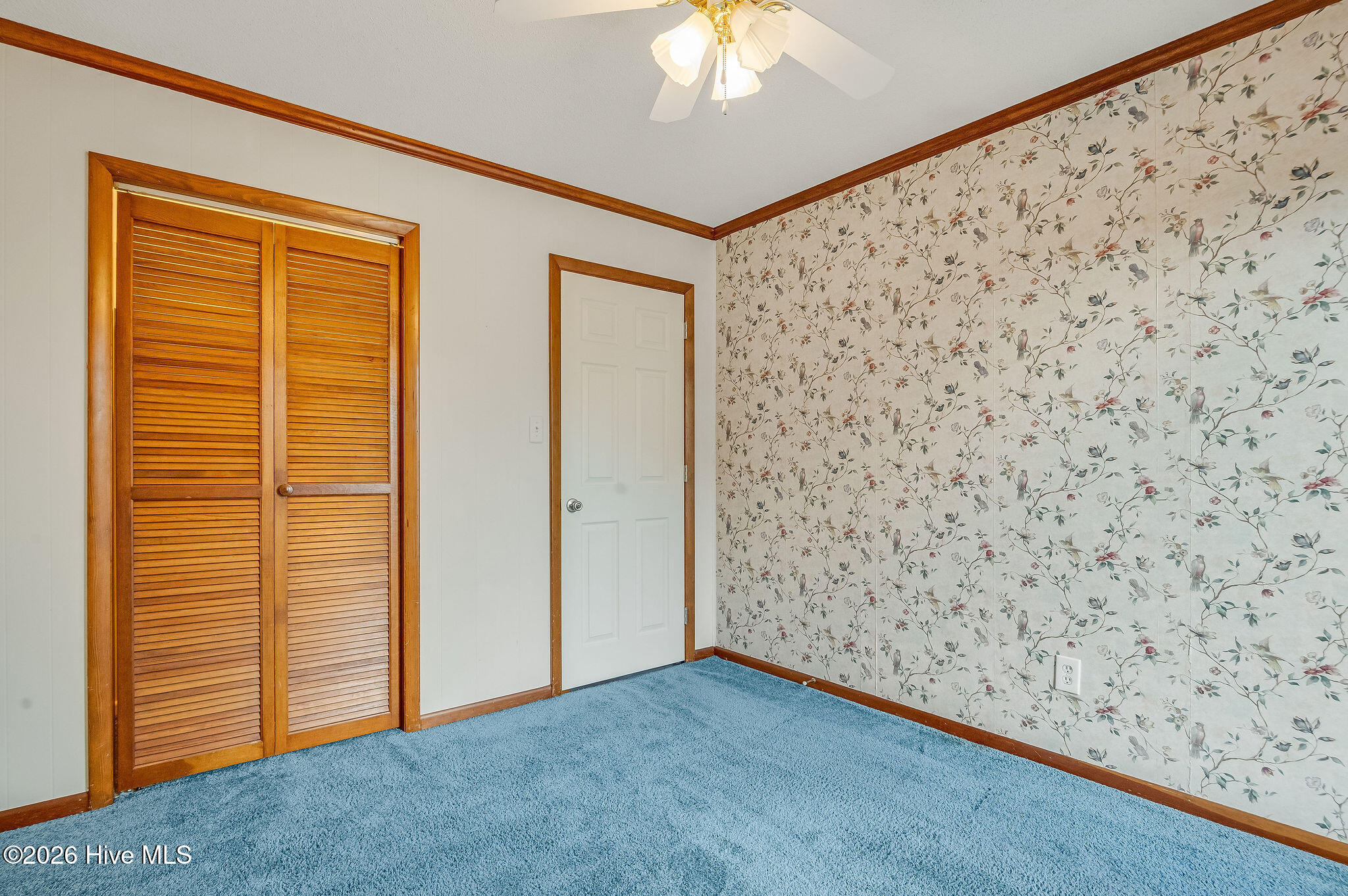 100556602 | Photo 48