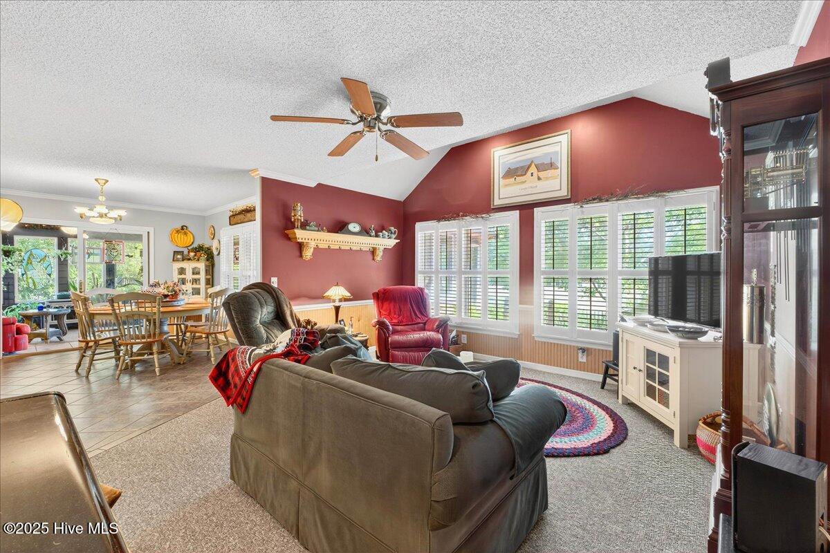 100517839 | Photo 11