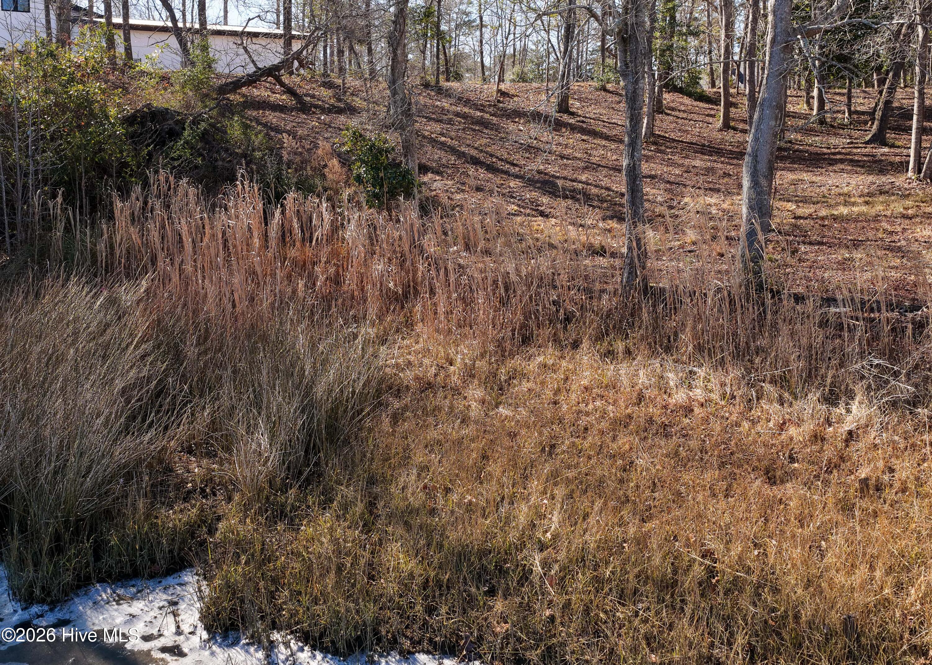 100551638 | Photo 27