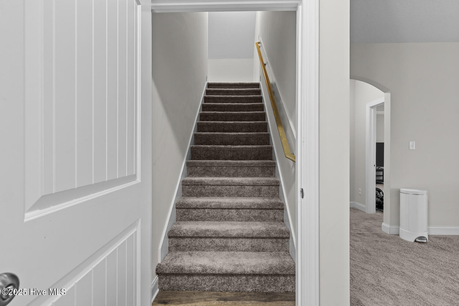 100513271 | Photo 25