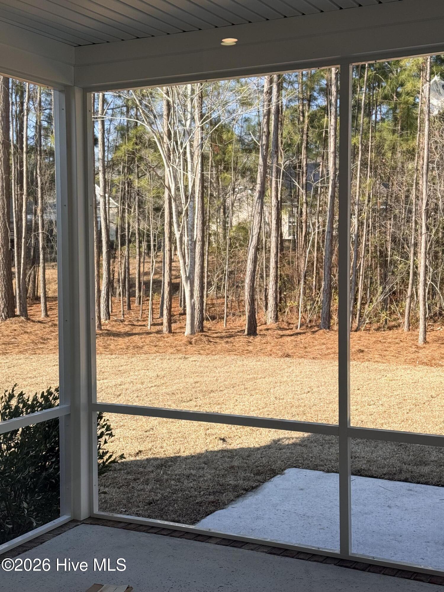 100554681 | Photo 12