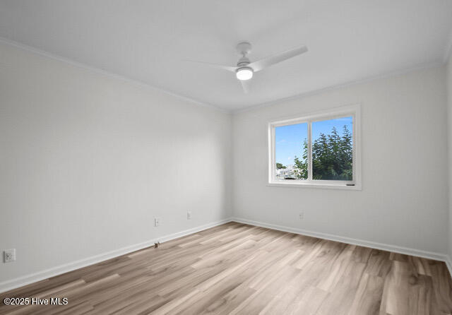 100549985 | Photo 27