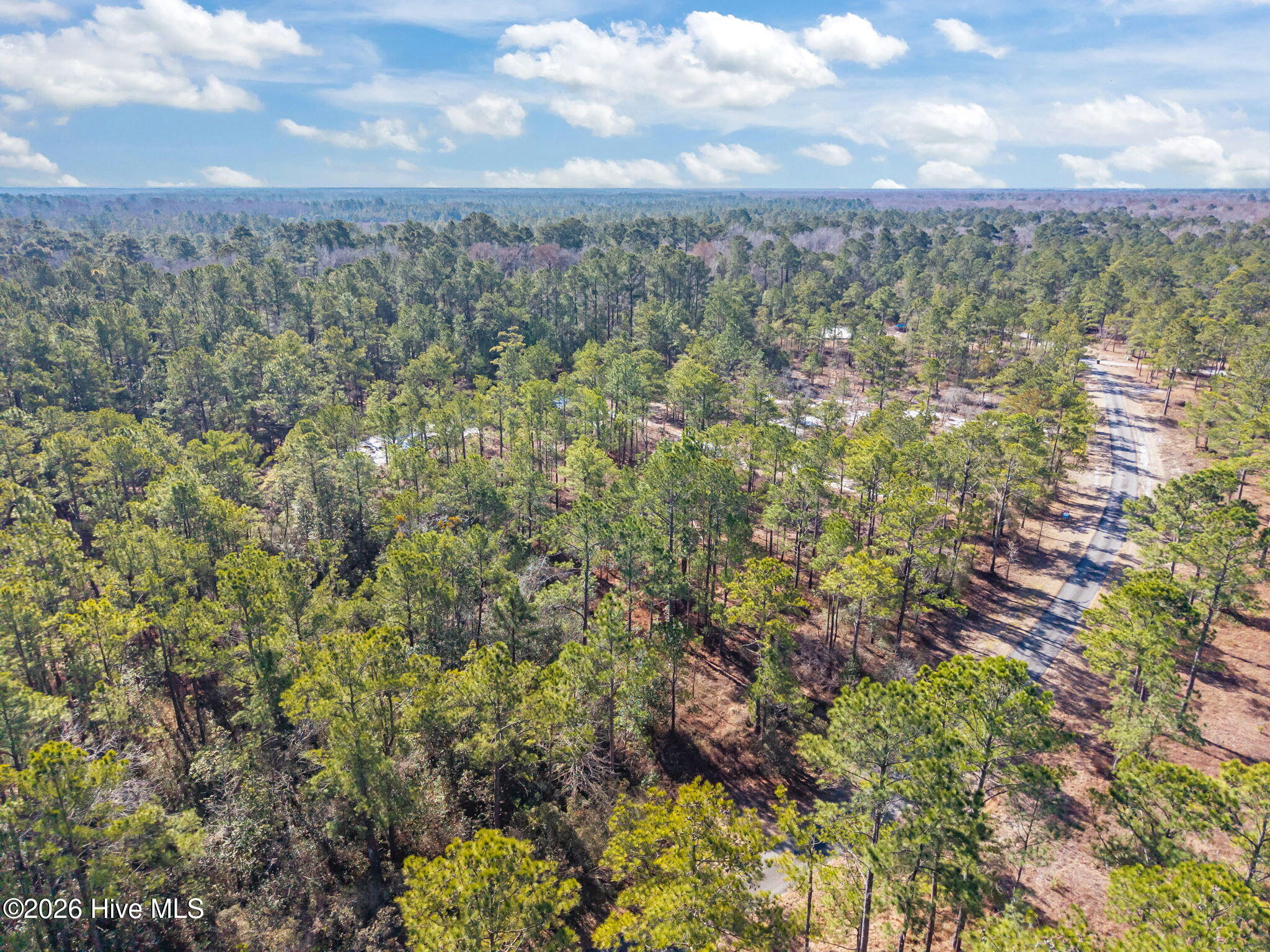 100554488 | Photo 21