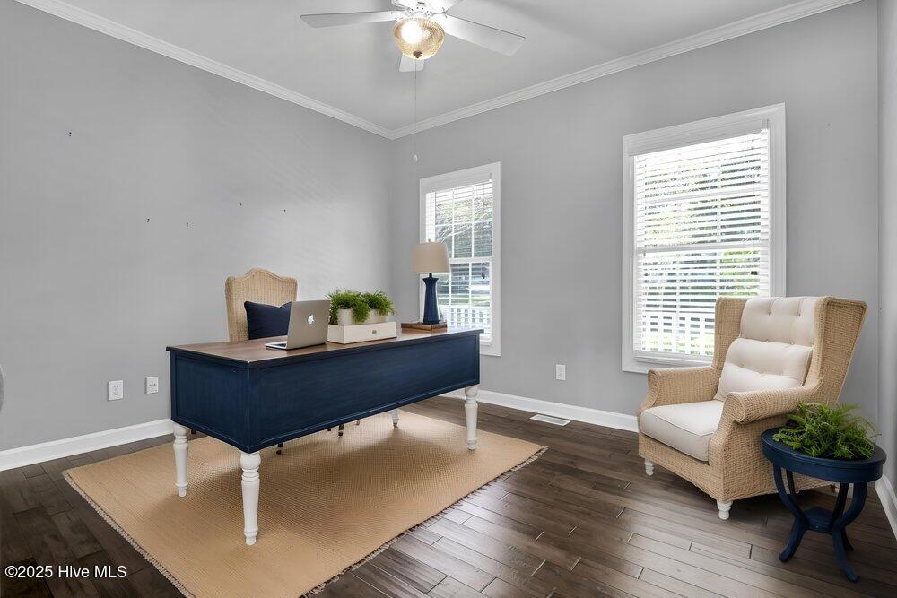 100556880 | Photo 28