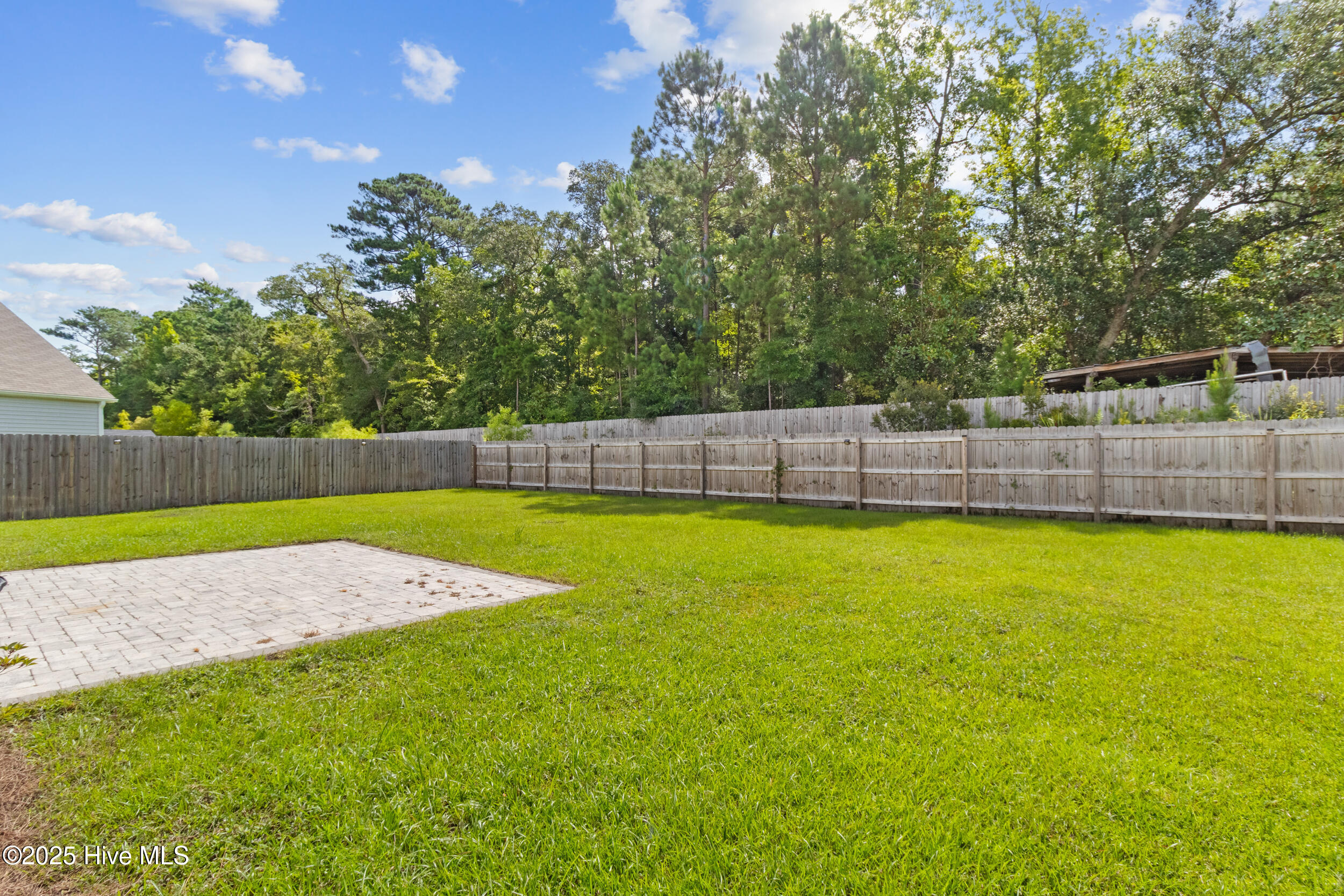 100519955 | Photo 41