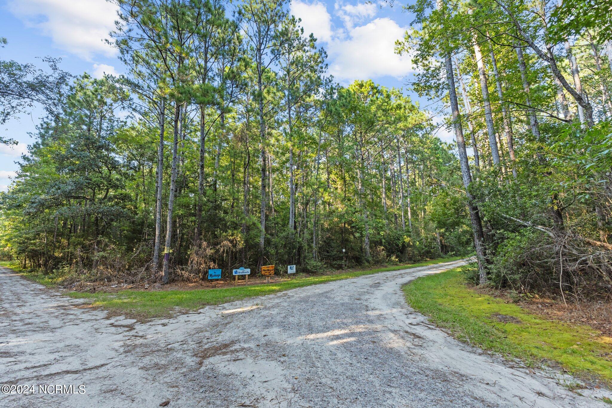 280 Donnie Davis Road,Williston