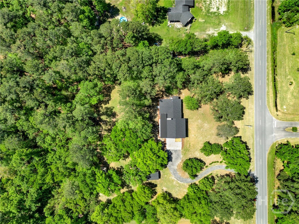 305 Kolic Helmey Rd, Guyton, GA 31312 Listing Photo  51