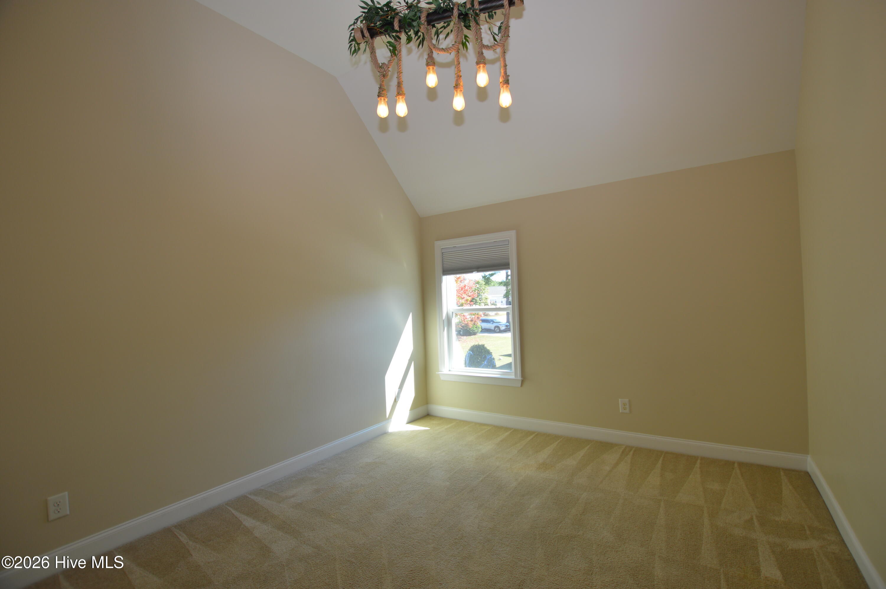 100568585 | Photo 25