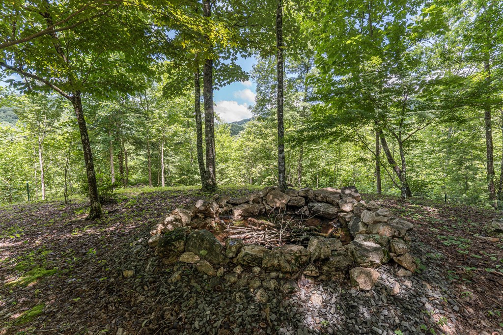 140 Kathryn Circle, Murphy, NC 28906 Listing Photo  45