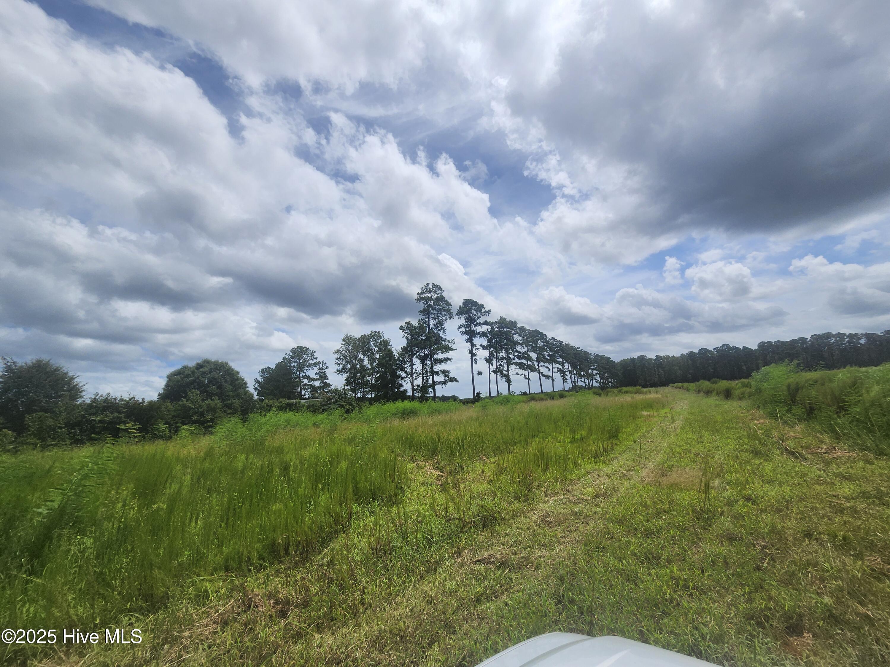 Property recently cleared again