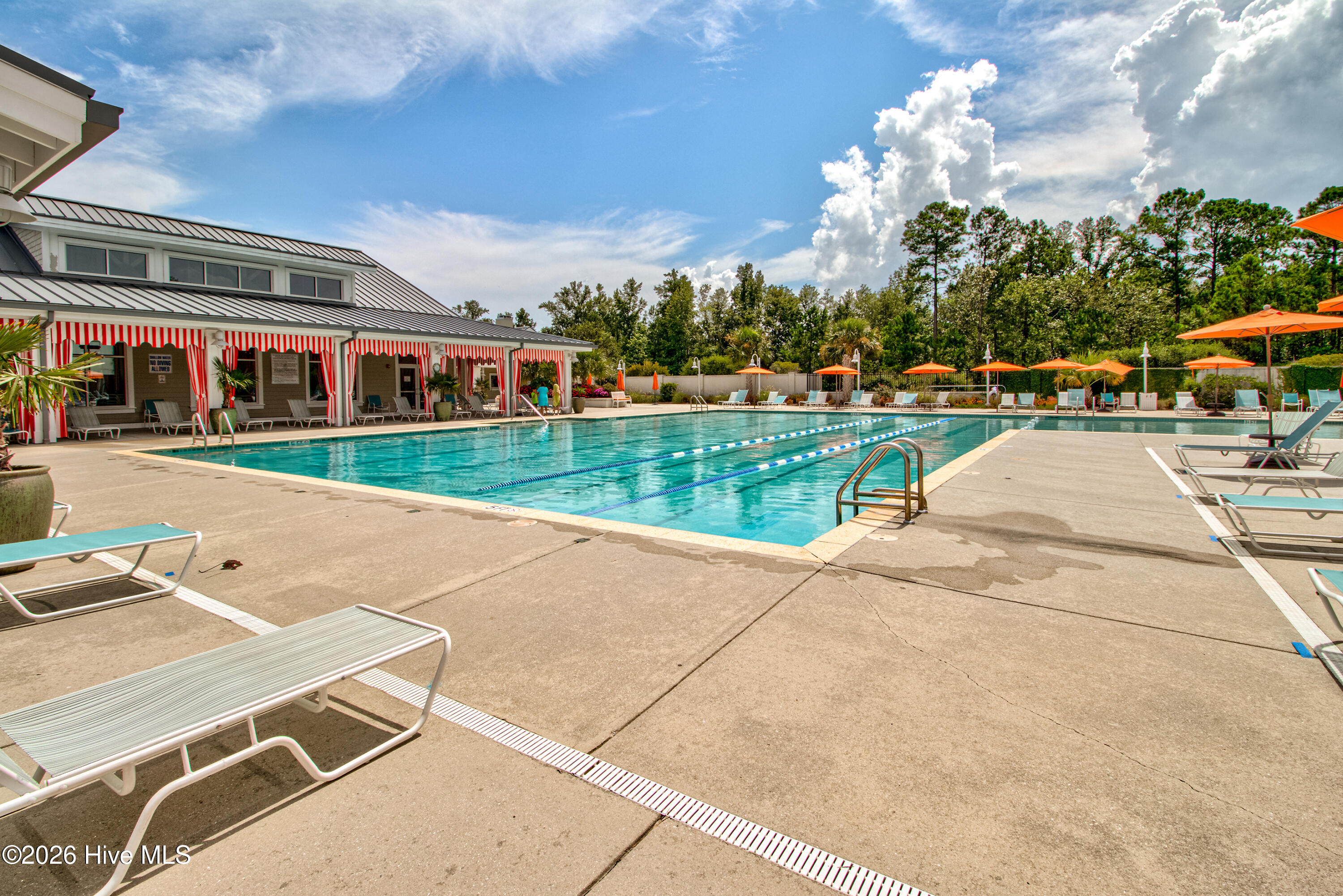 100569553 | Photo 35