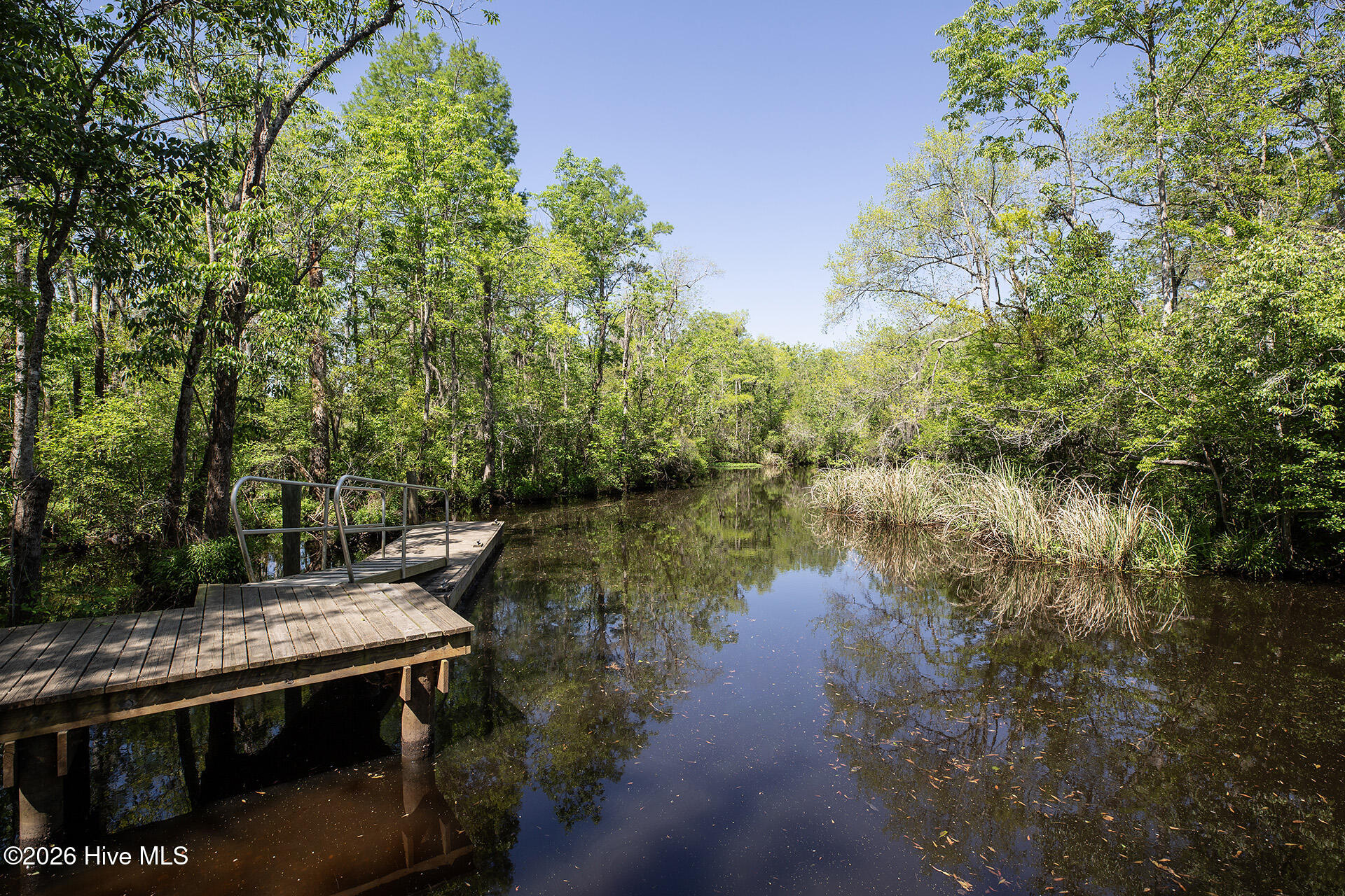 100550596 | Photo 49