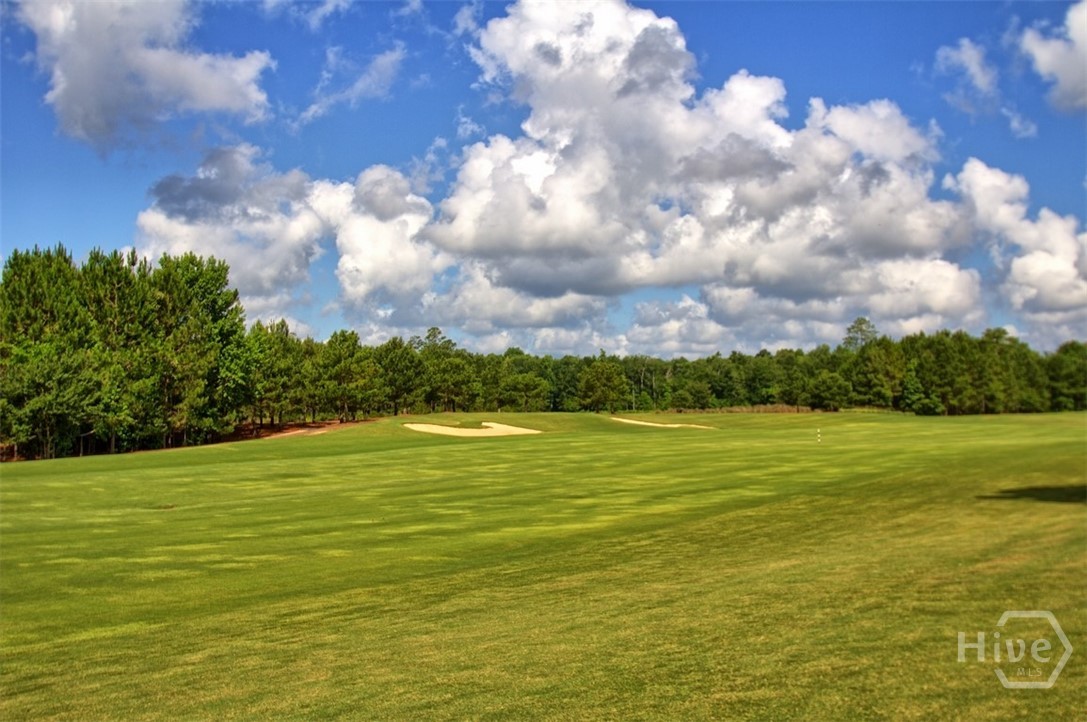 49th image of 734 Blue Moon Xing, Pooler, GA 31322 | MLS# SA342845