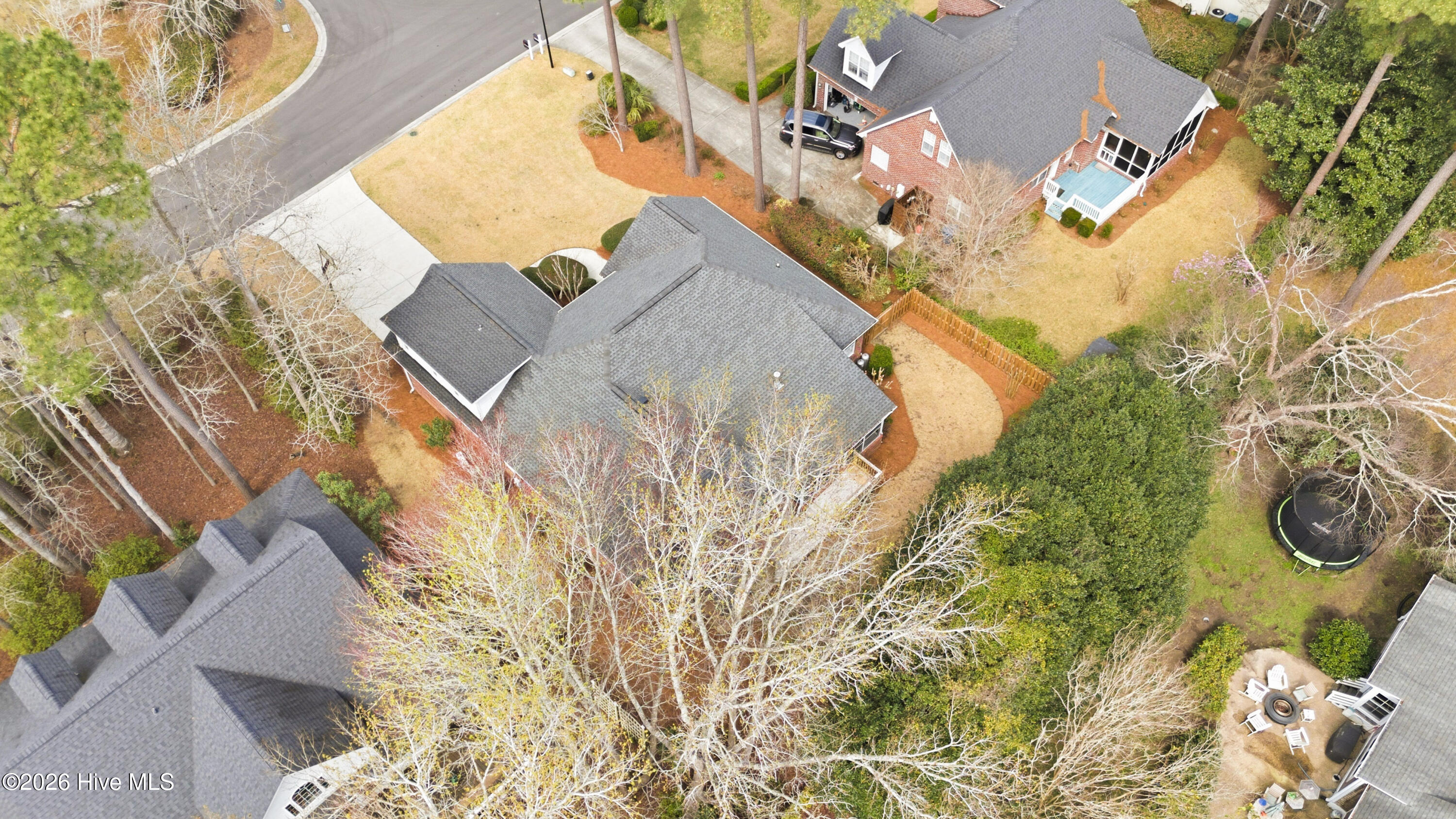 100560916 | Photo 89