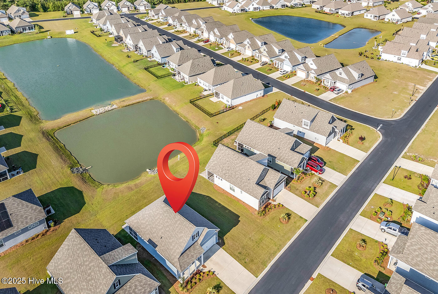 100547571 | Photo 49