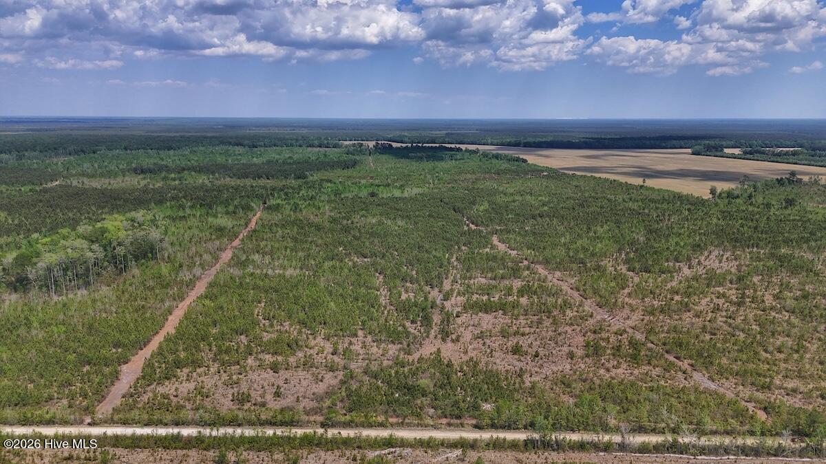 0 Guinea Mill Road, Ernul, NC, 28527