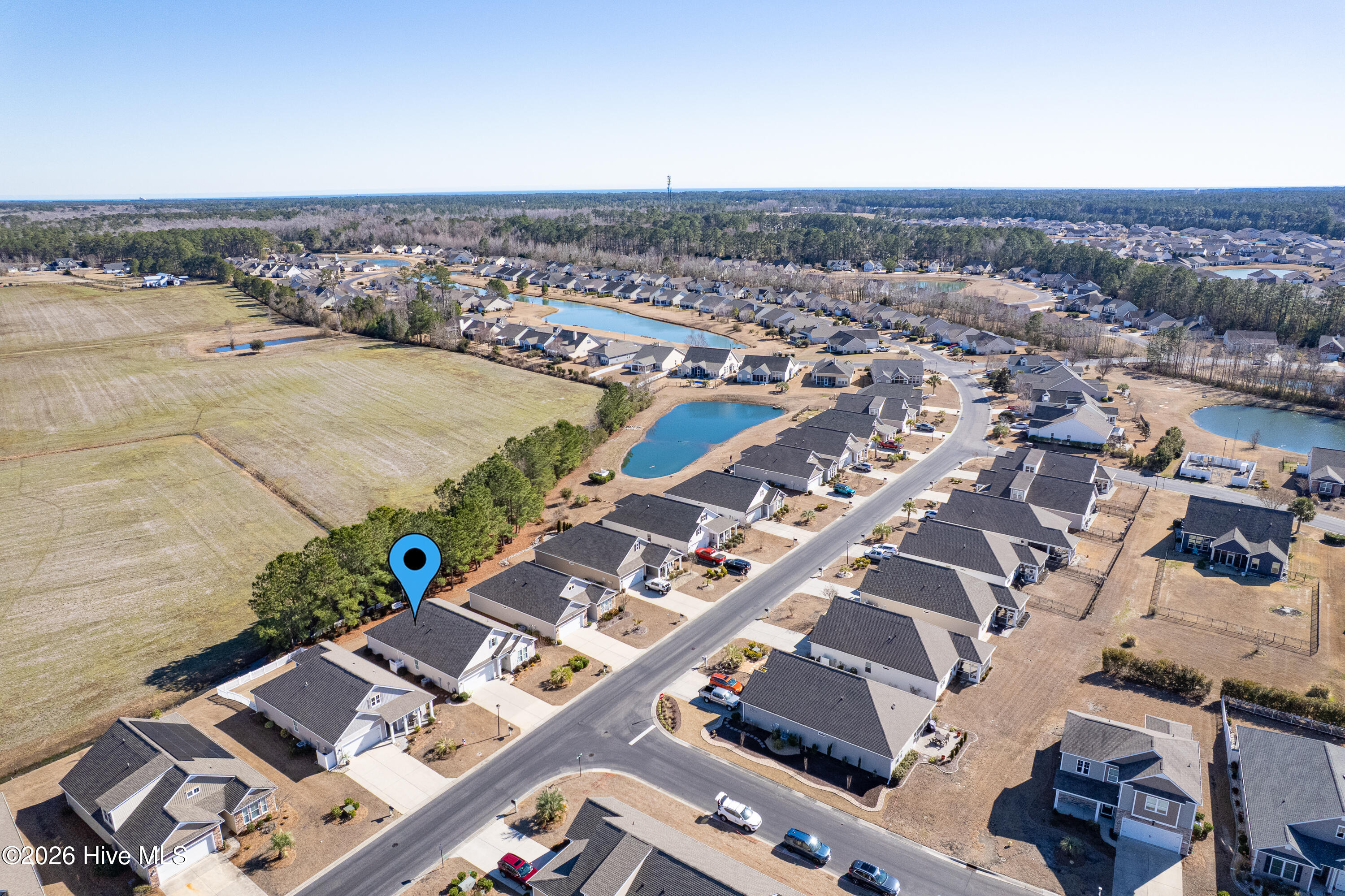 100555117 | Photo 53