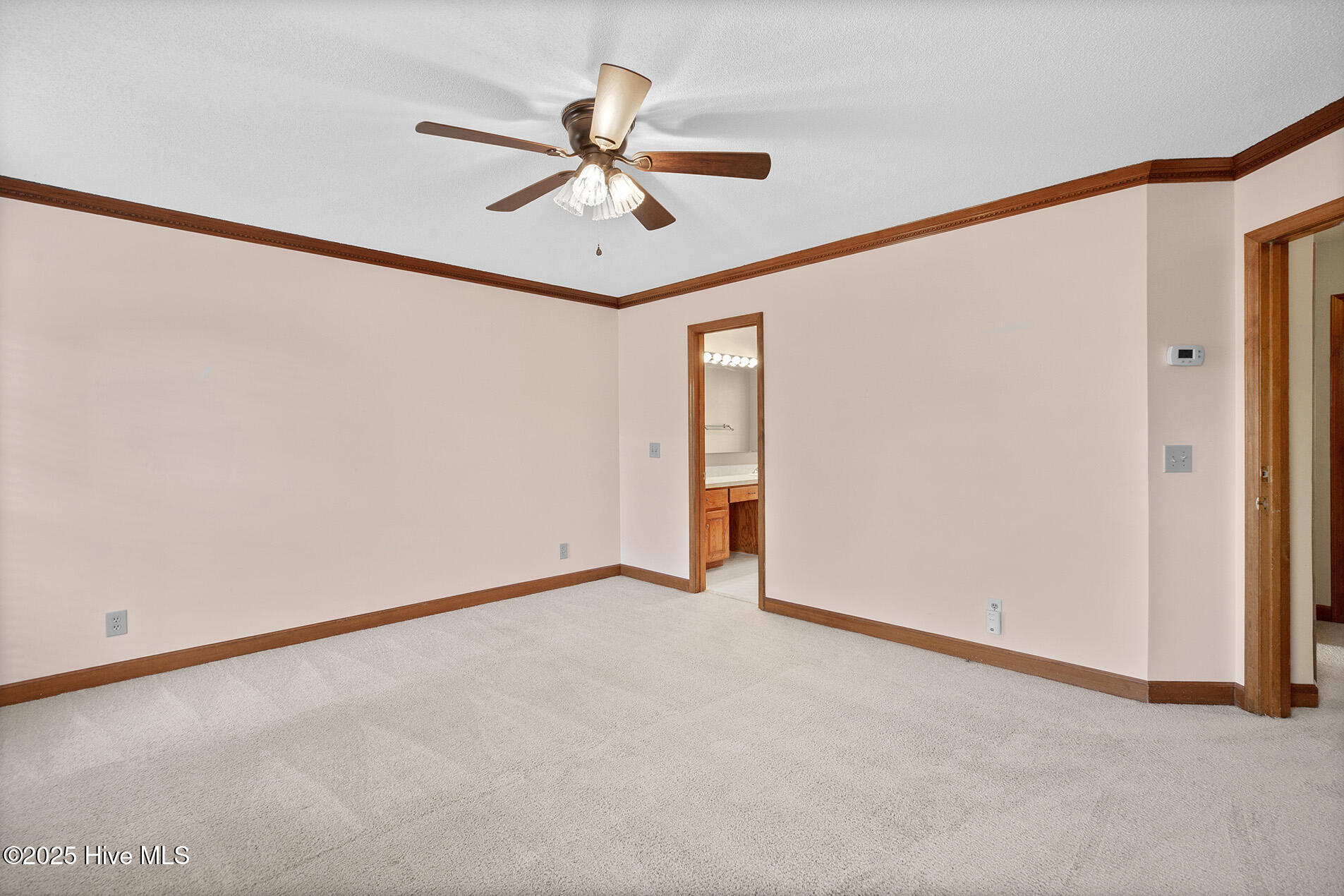 100541648 | Photo 23