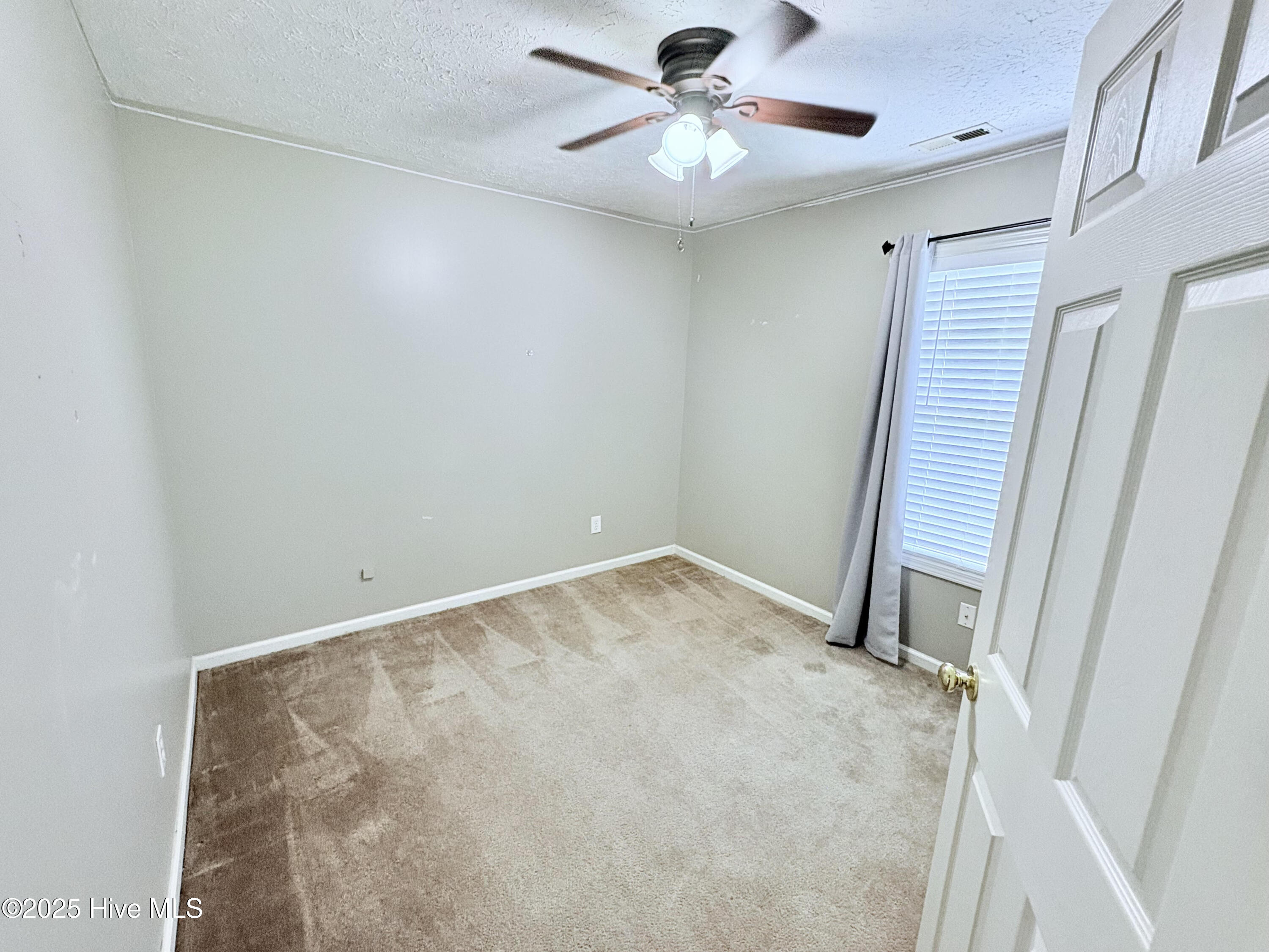 100563747 | Photo 12