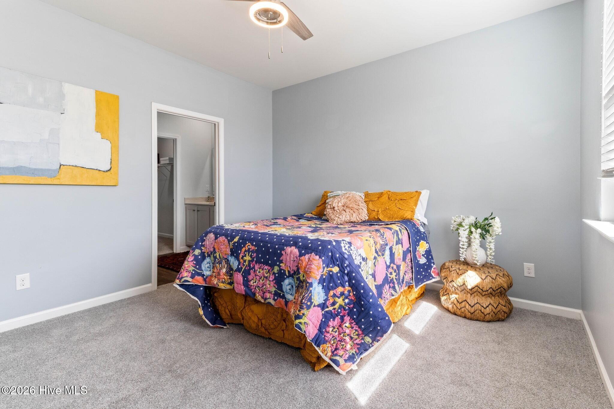 100556096 | Photo 20