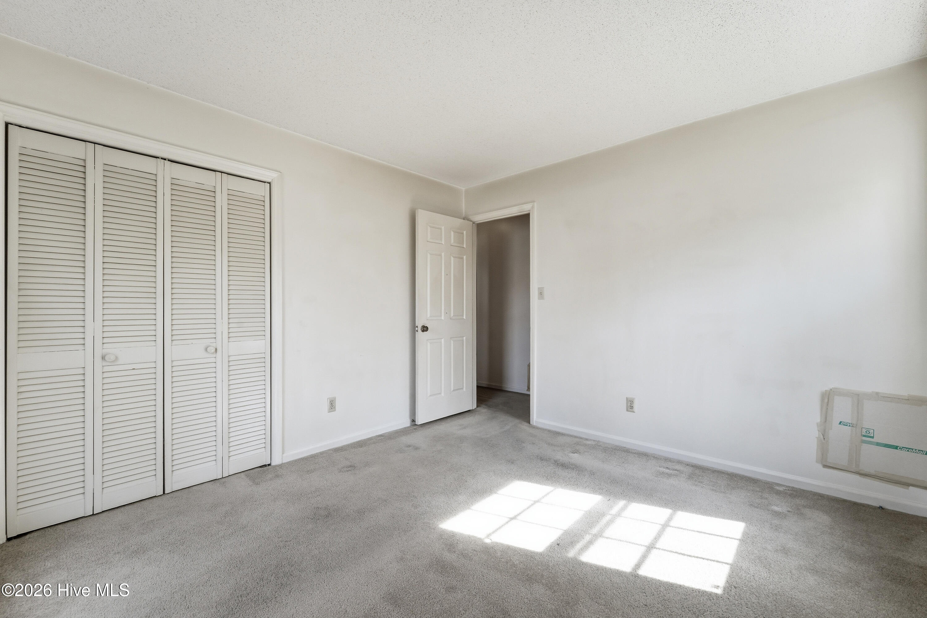 100563491 | Photo 28