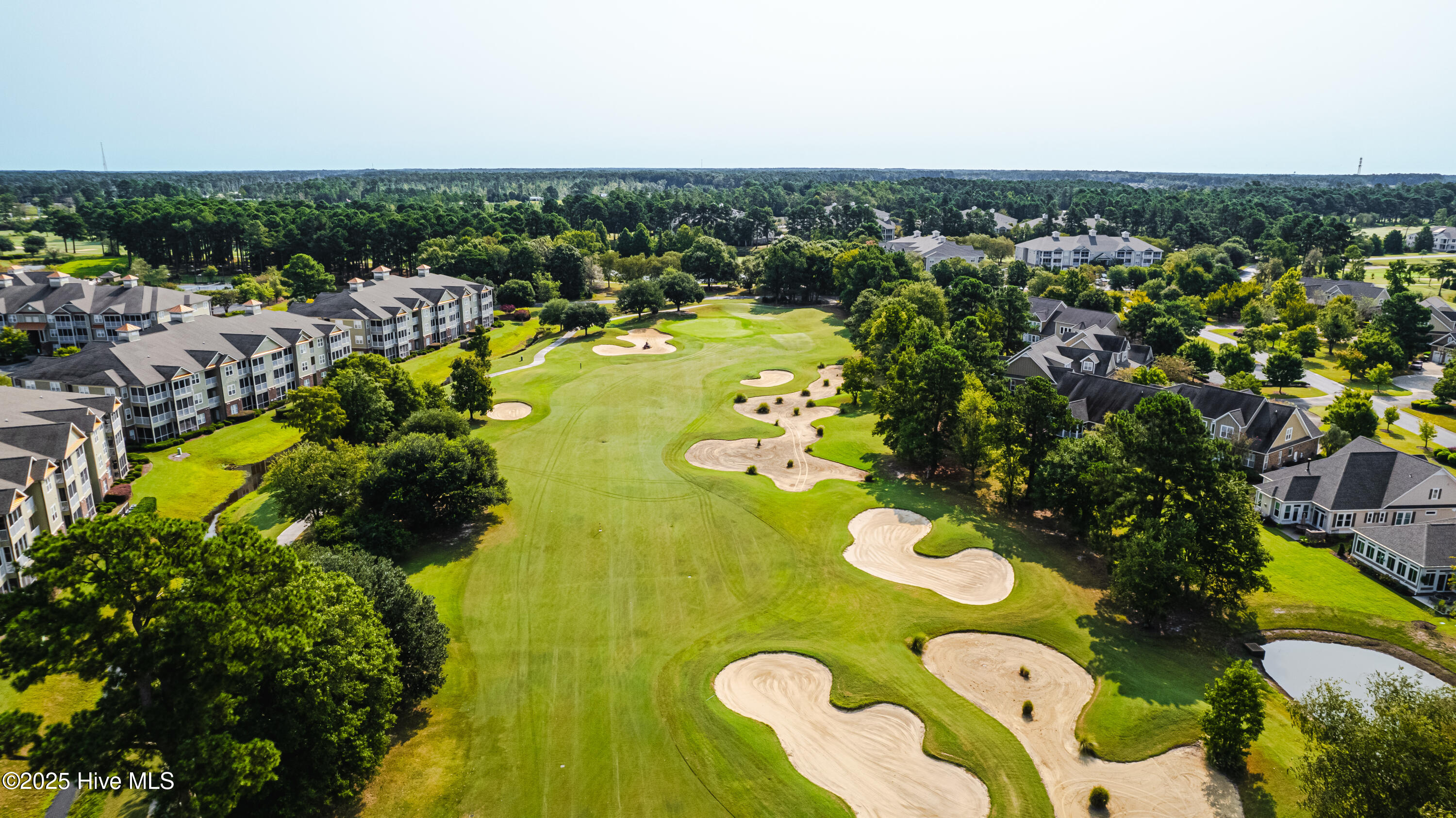 100553434 | Photo 38