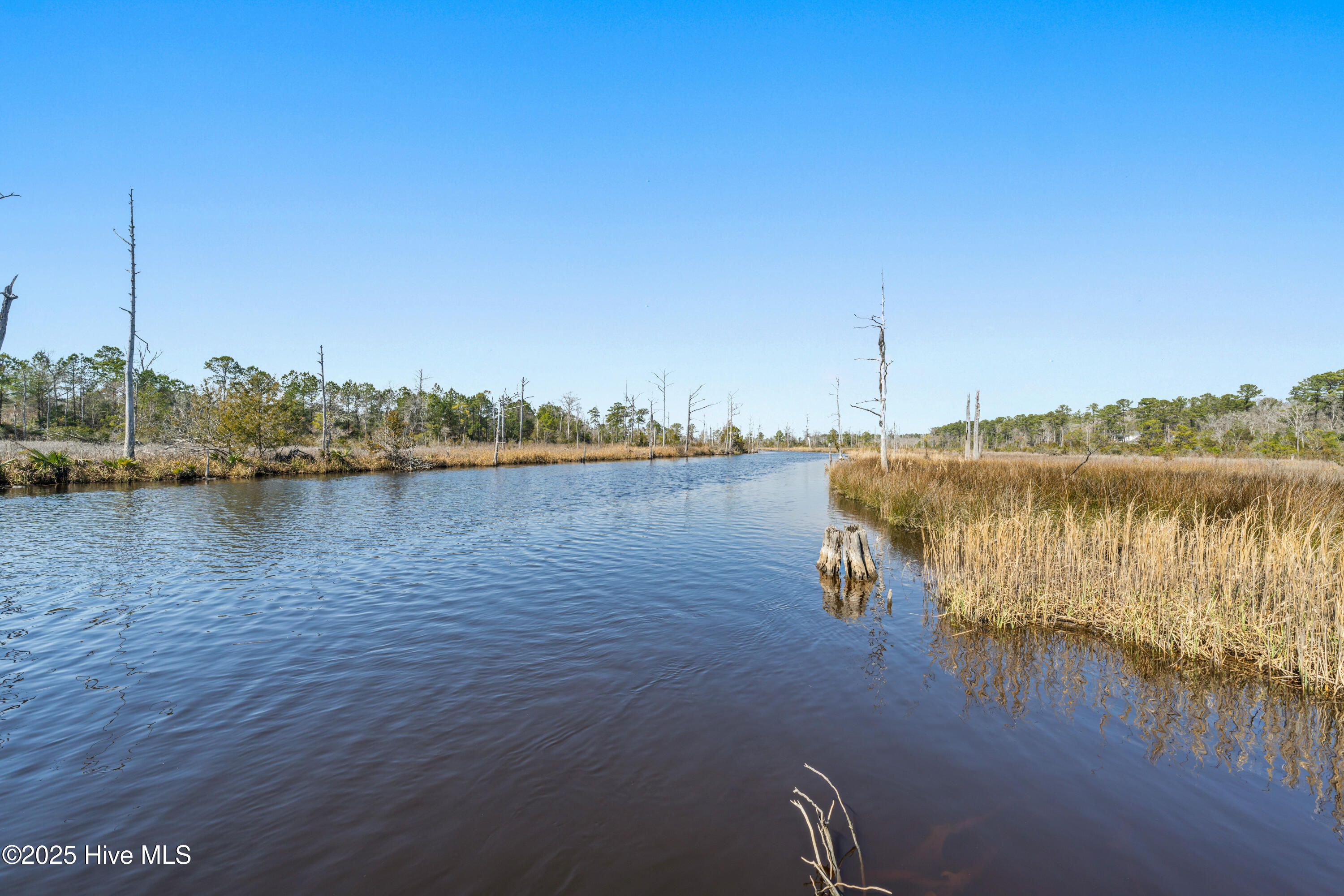 100532334 | Photo 88