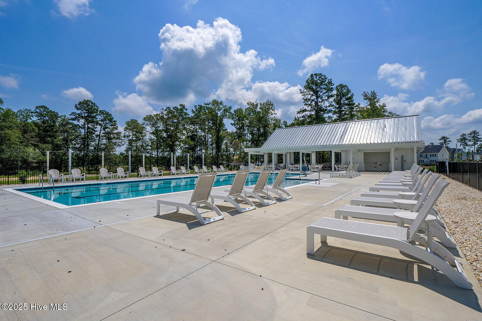 100559072 | Photo 31