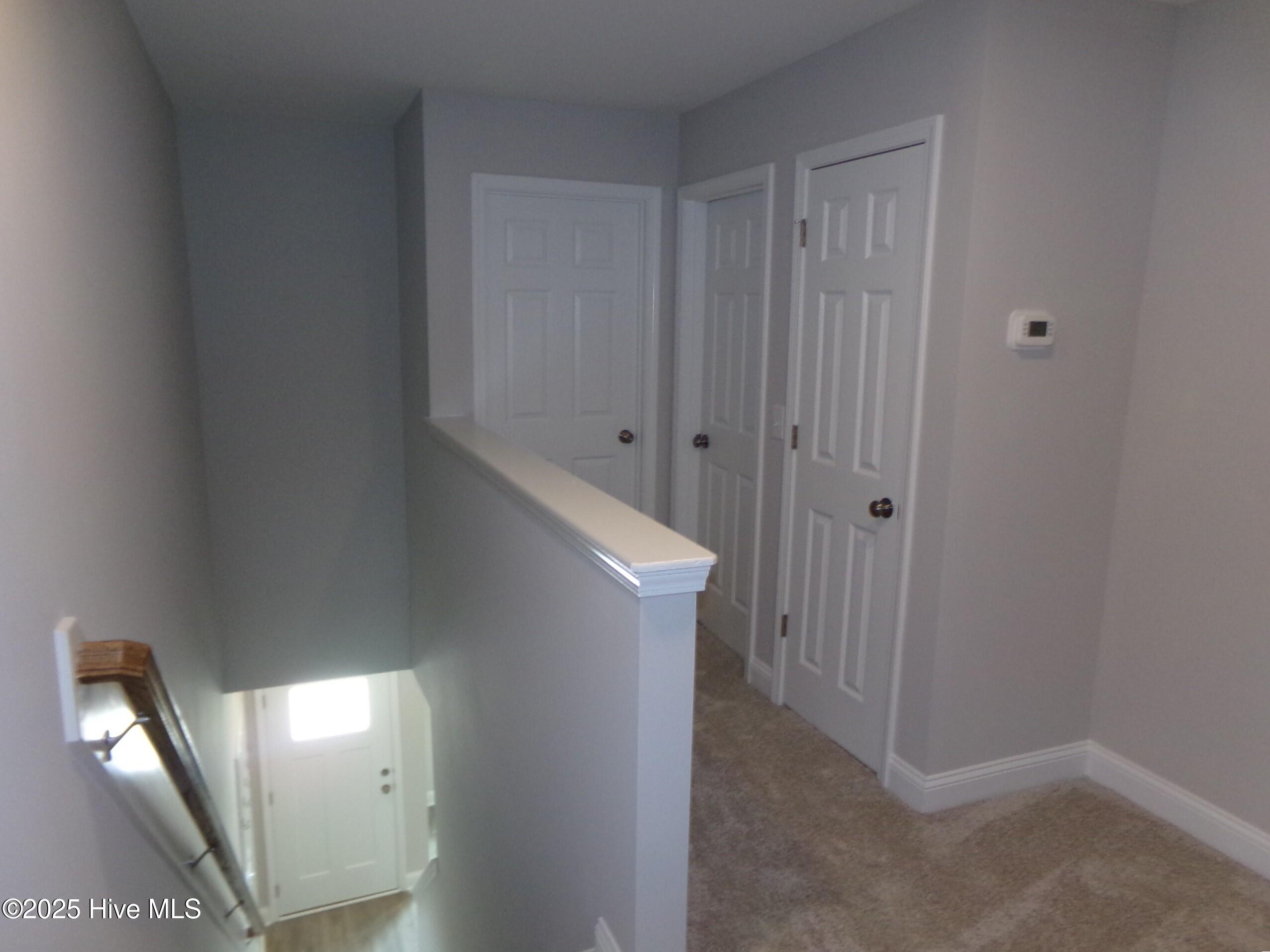 100538831 | Photo 19