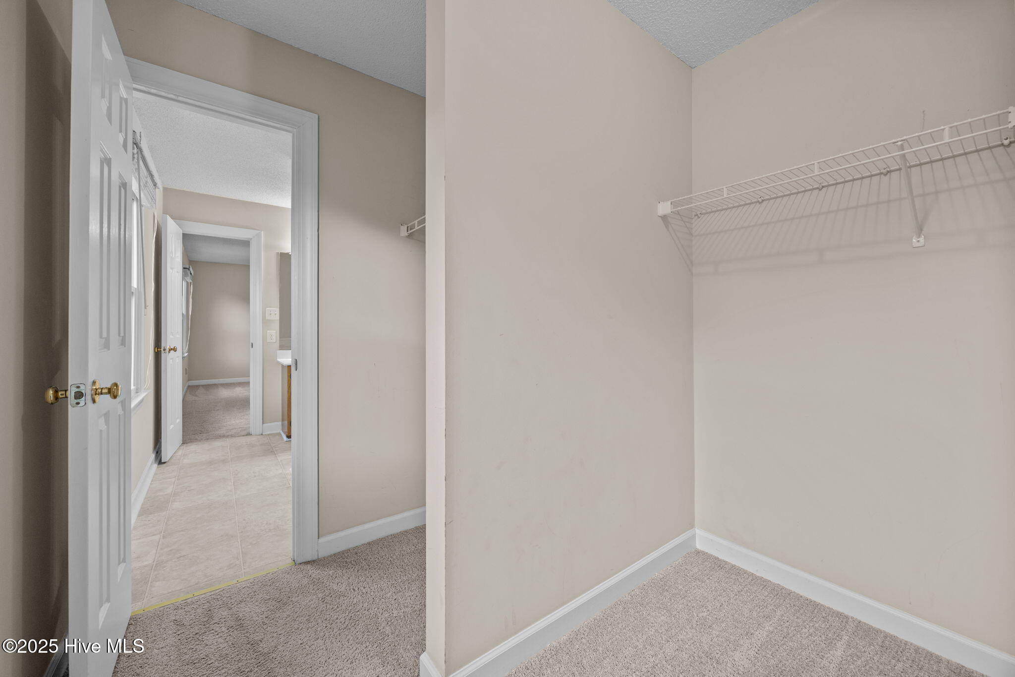 100534053 | Photo 29