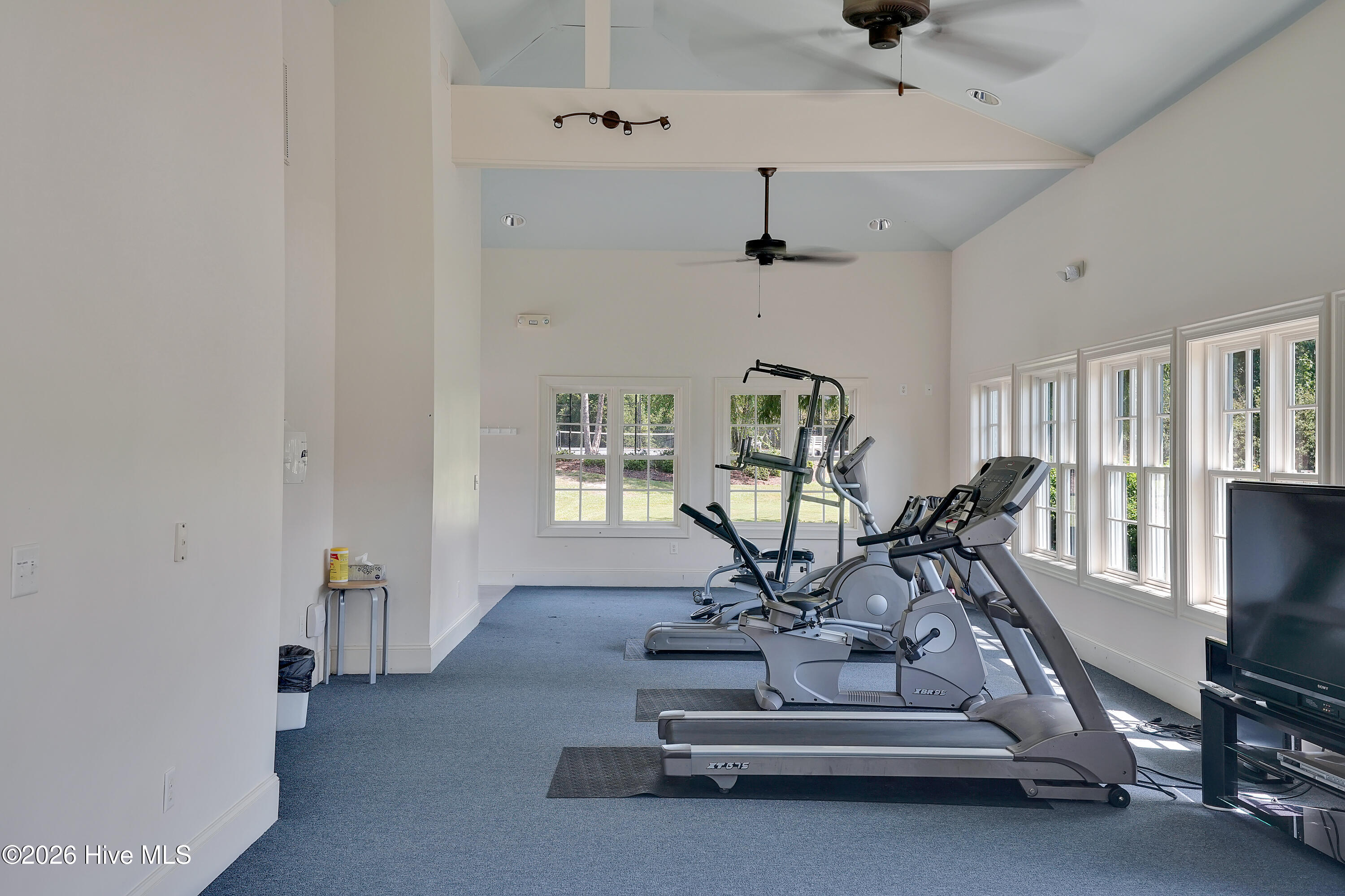 100569980 | Photo 25