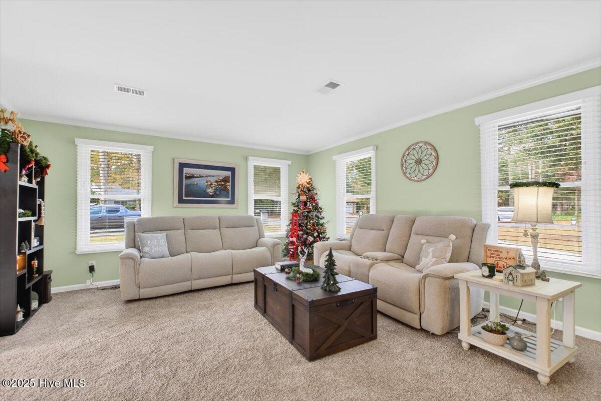 100545415 | Photo 10