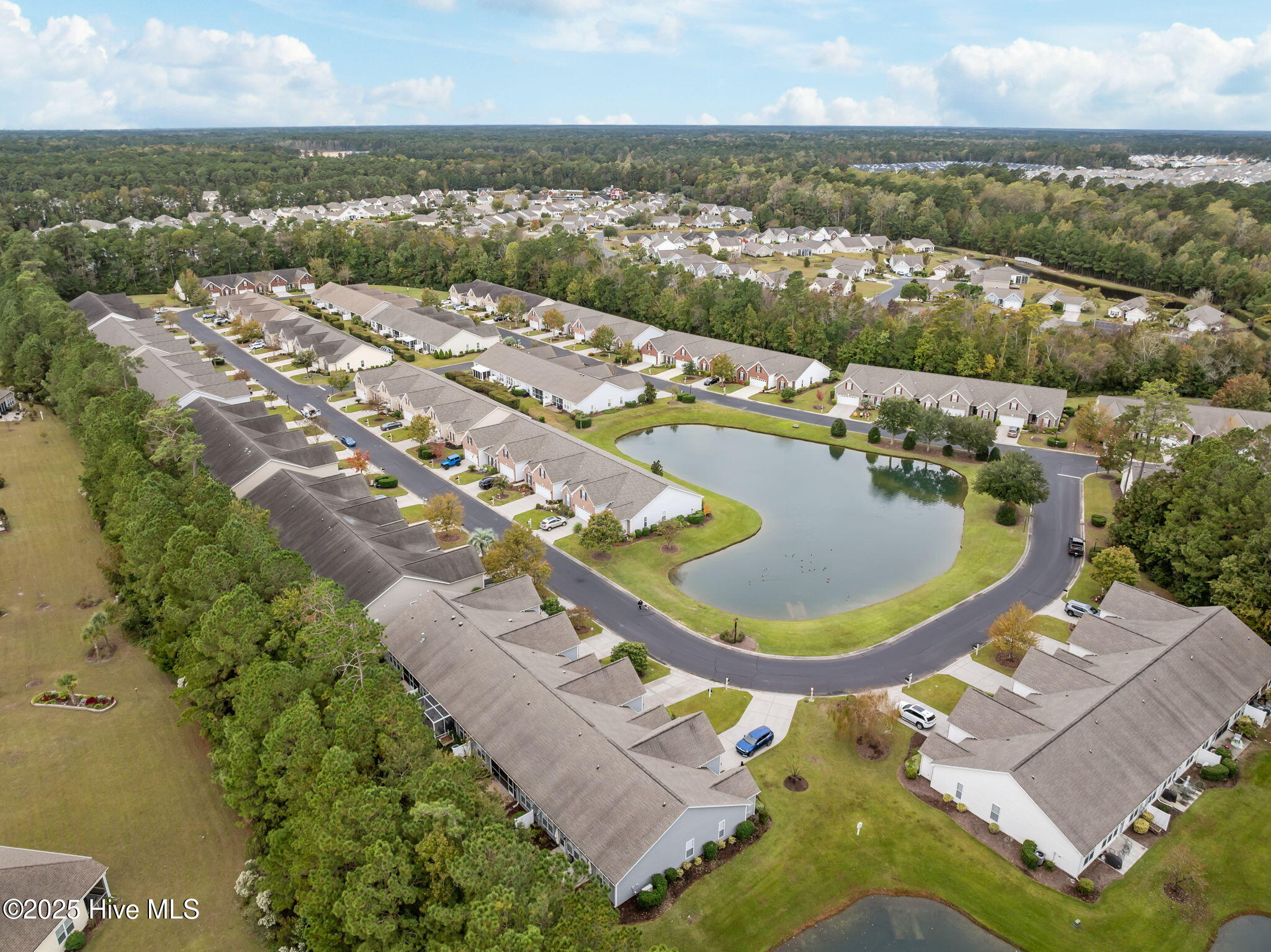 100538741 | Photo 50