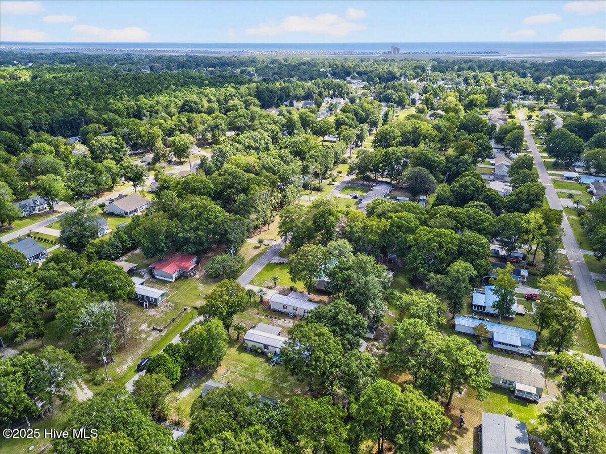 100534395 | Photo 12