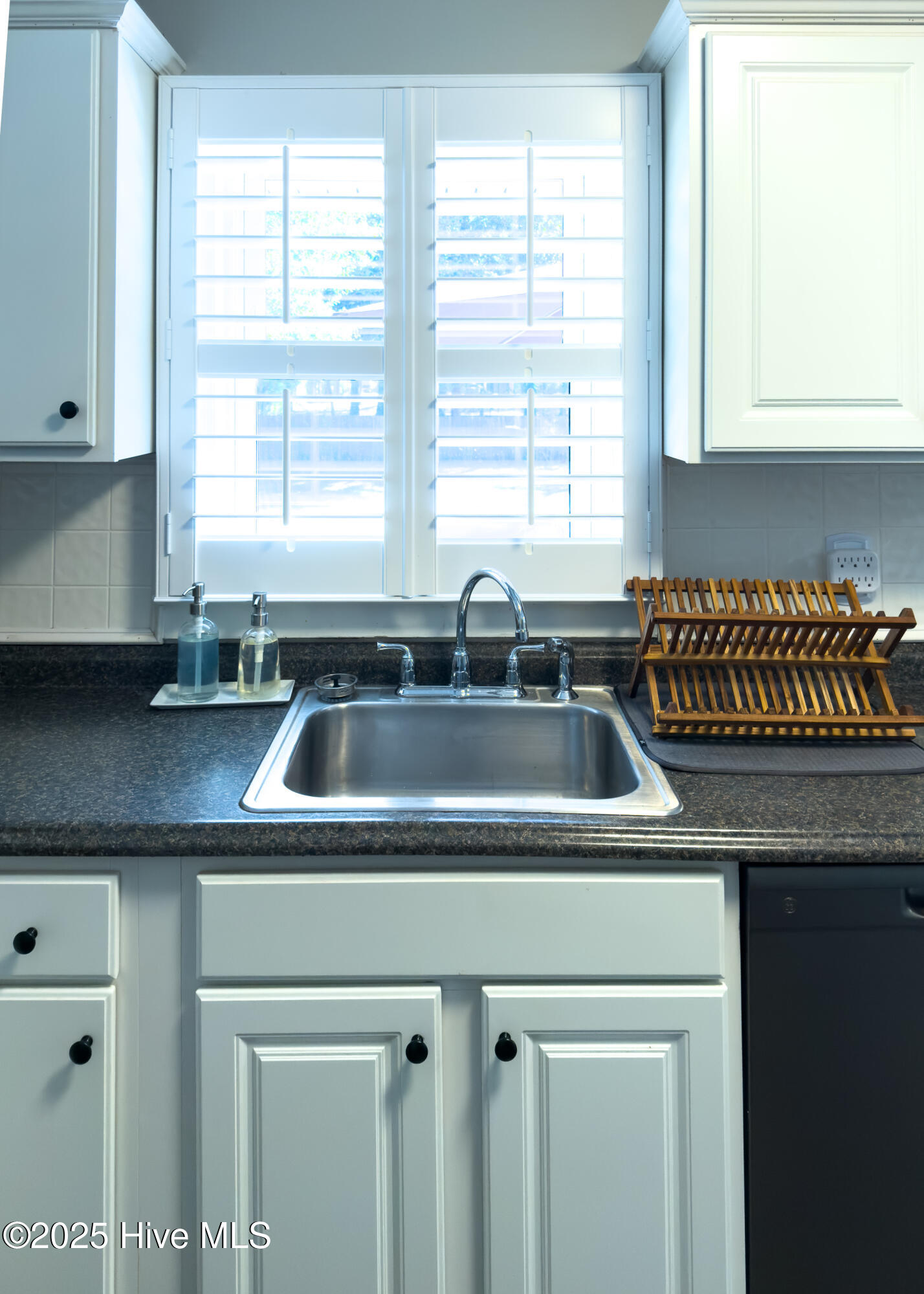 100539924 | Photo 15