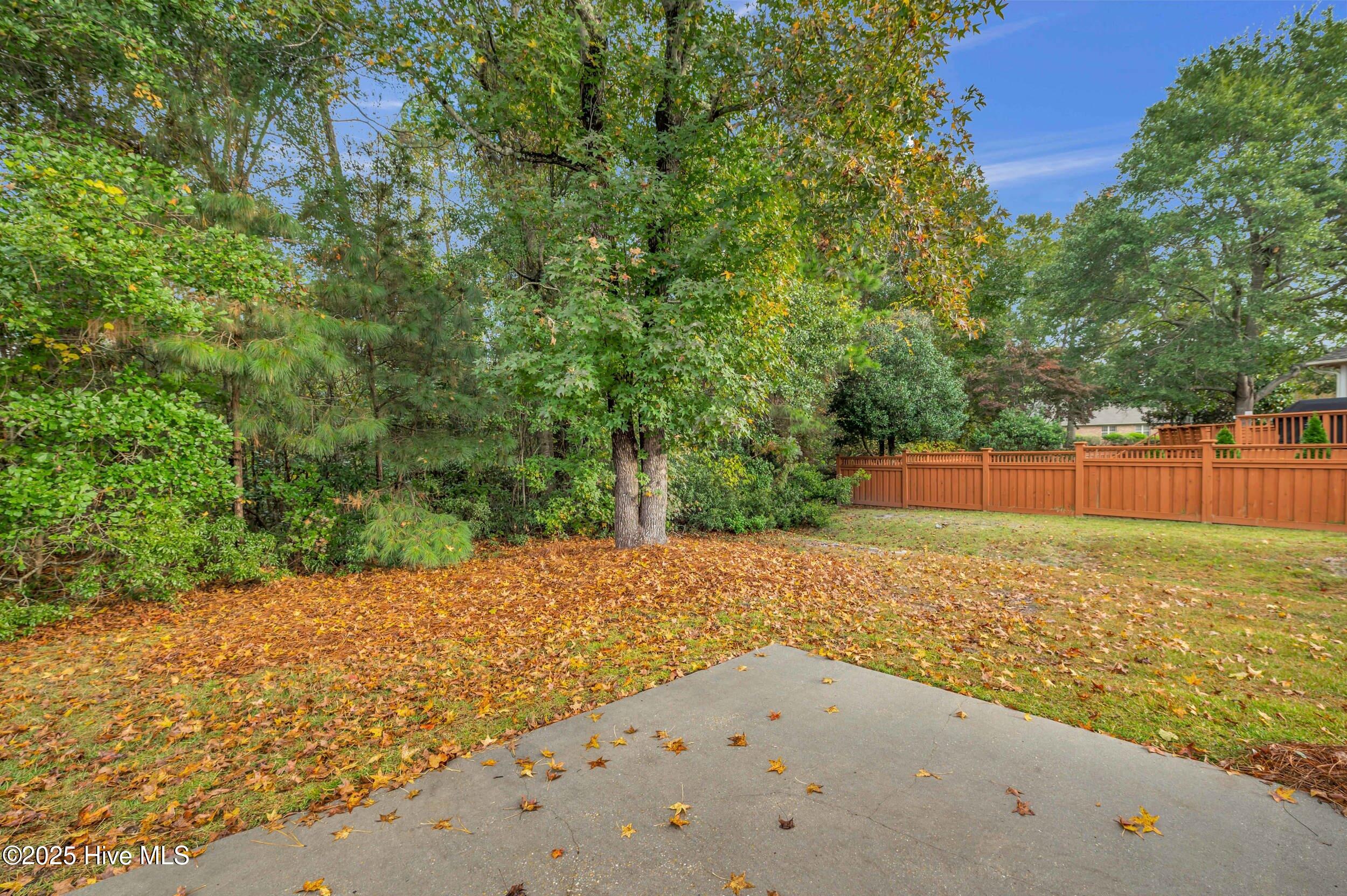 100539518 | Photo 46