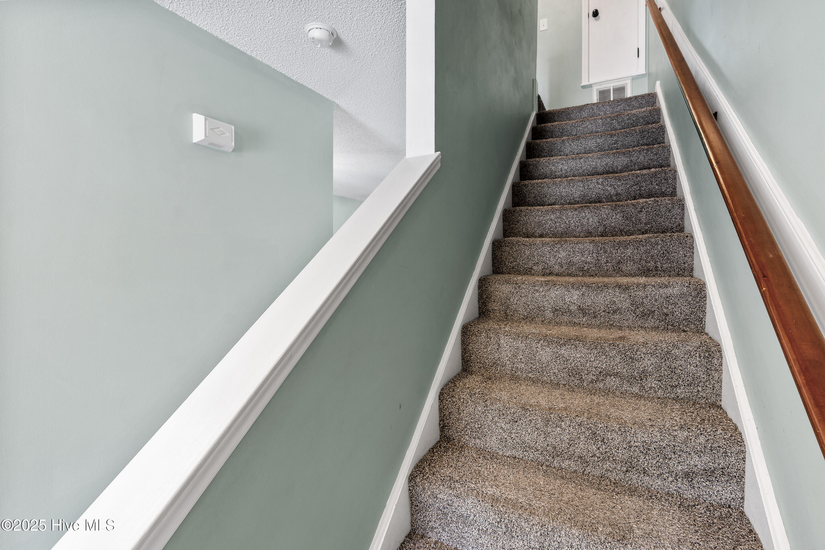 100521365 | Photo 15