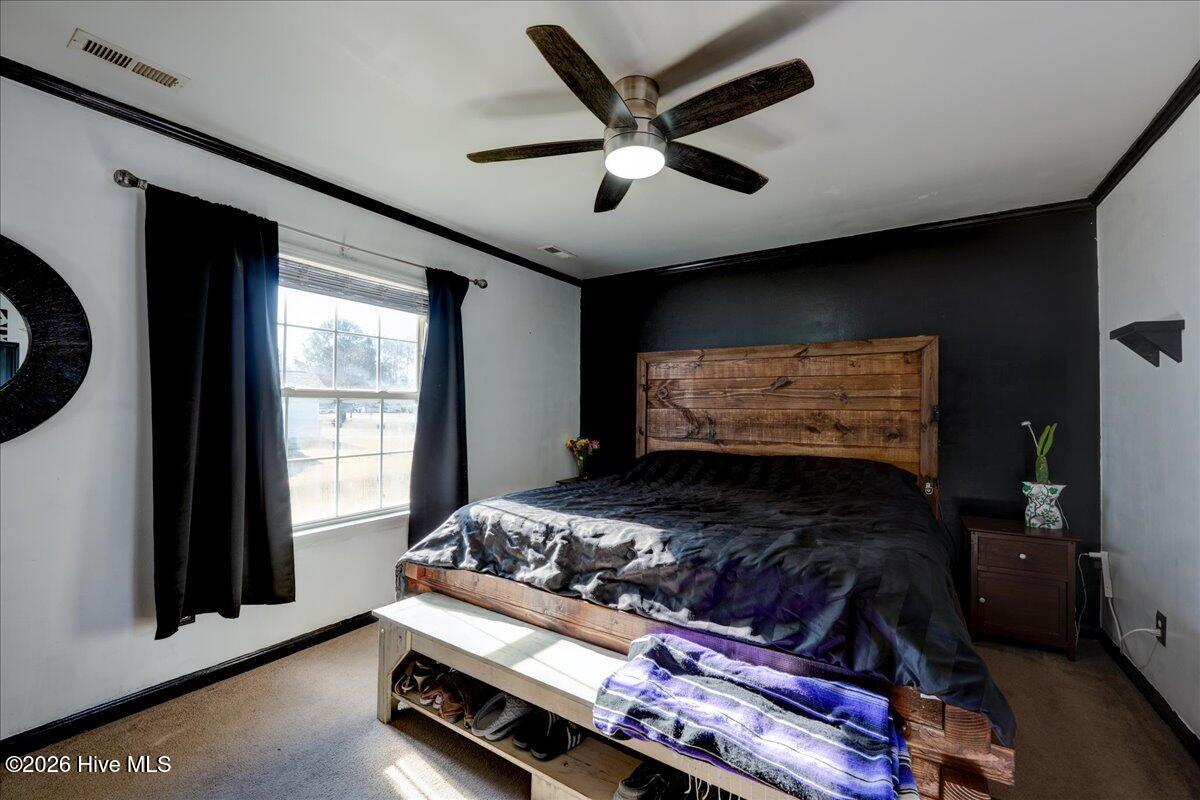 100548576 | Photo 28