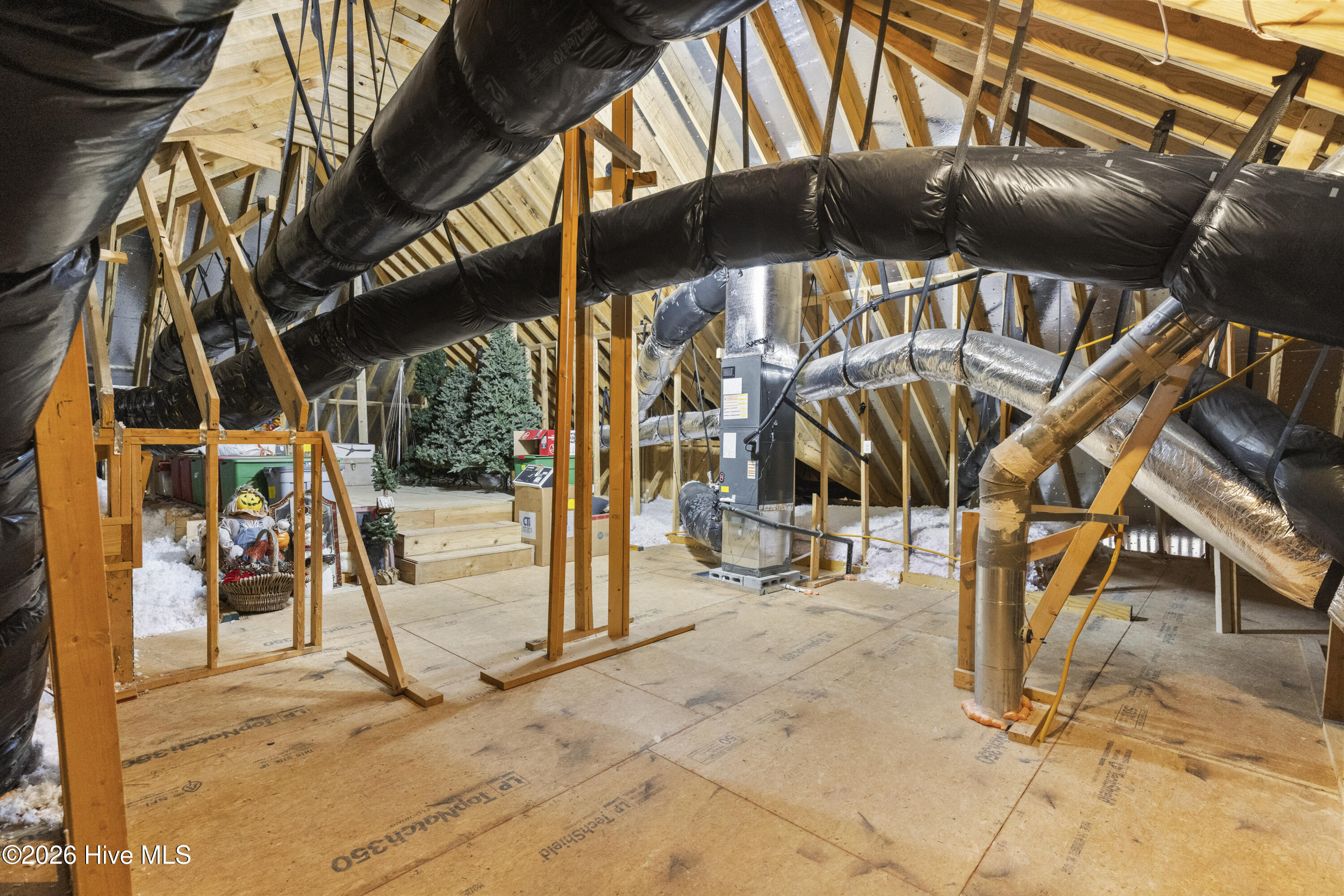 100551646 | Photo 36