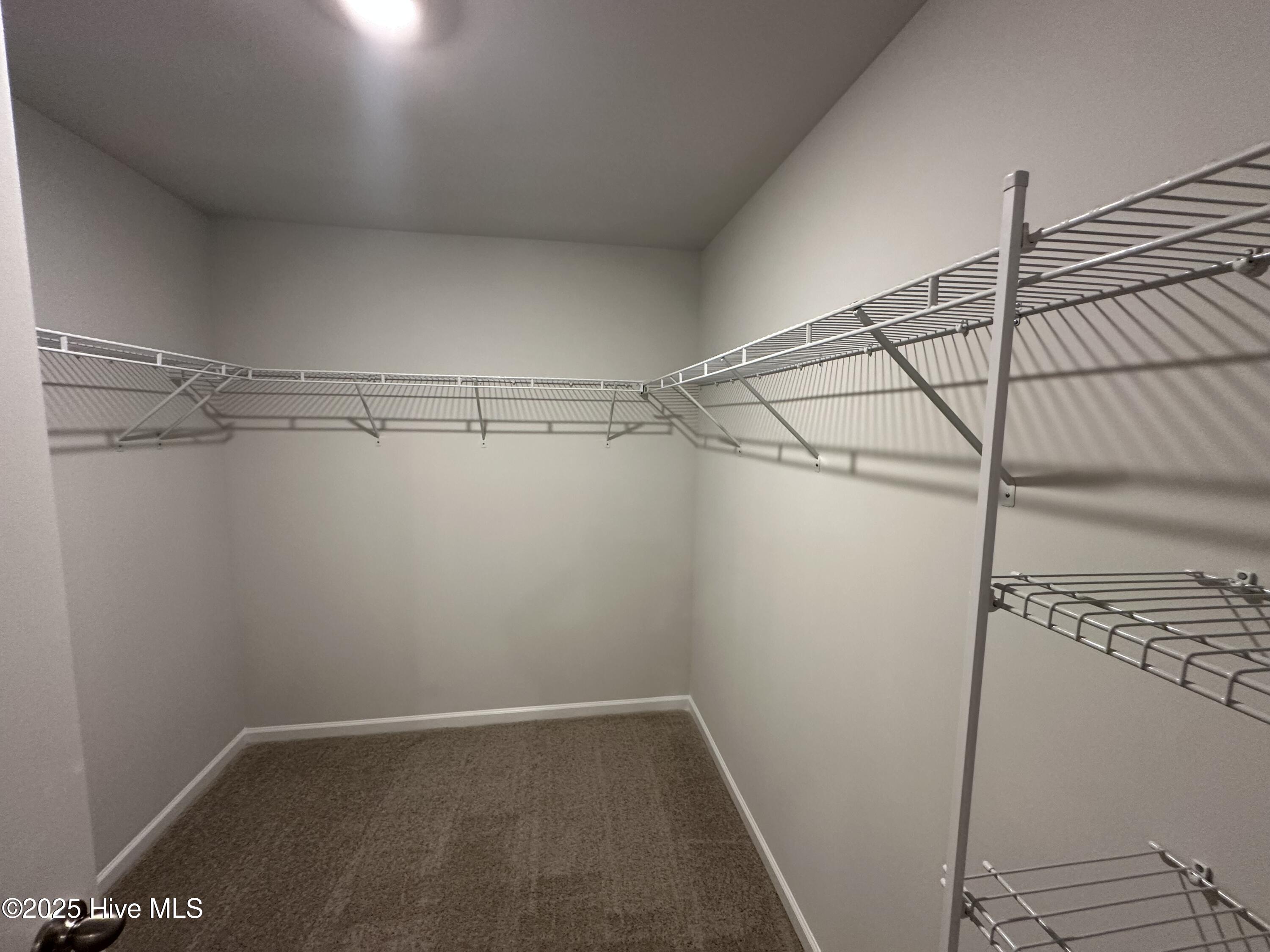 100547602 | Photo 11