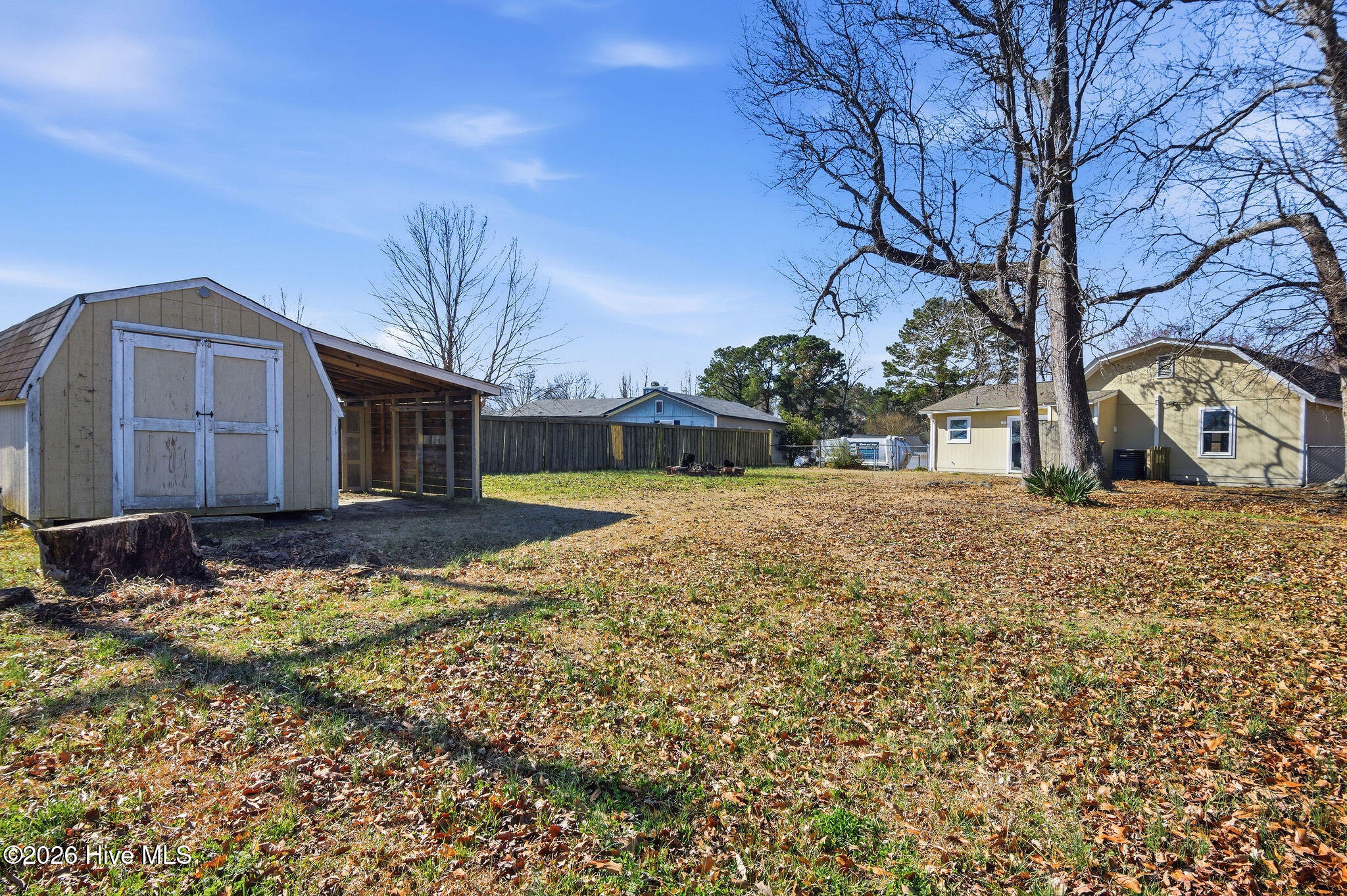 100556474 | Photo 32