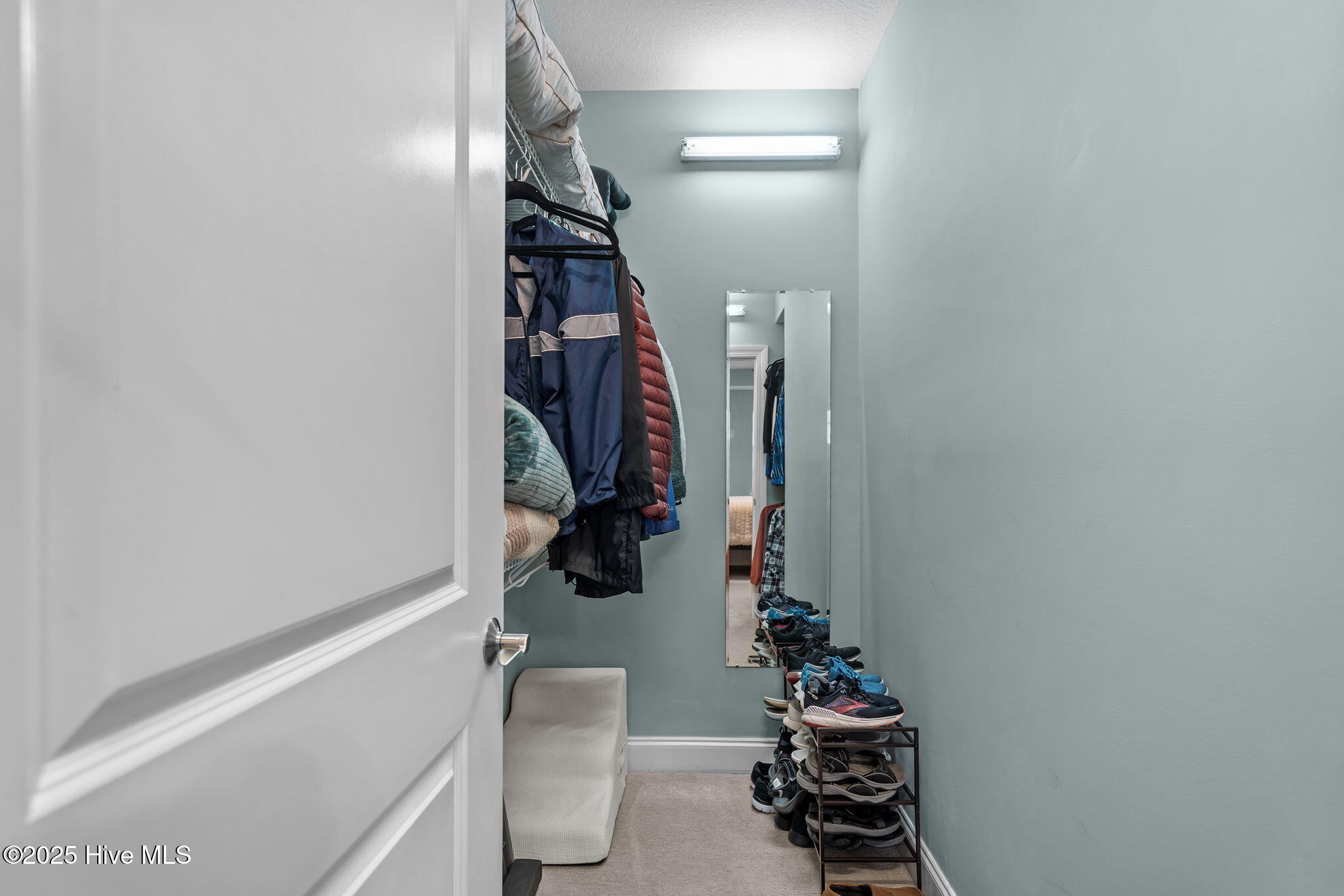 100535787 | Photo 34