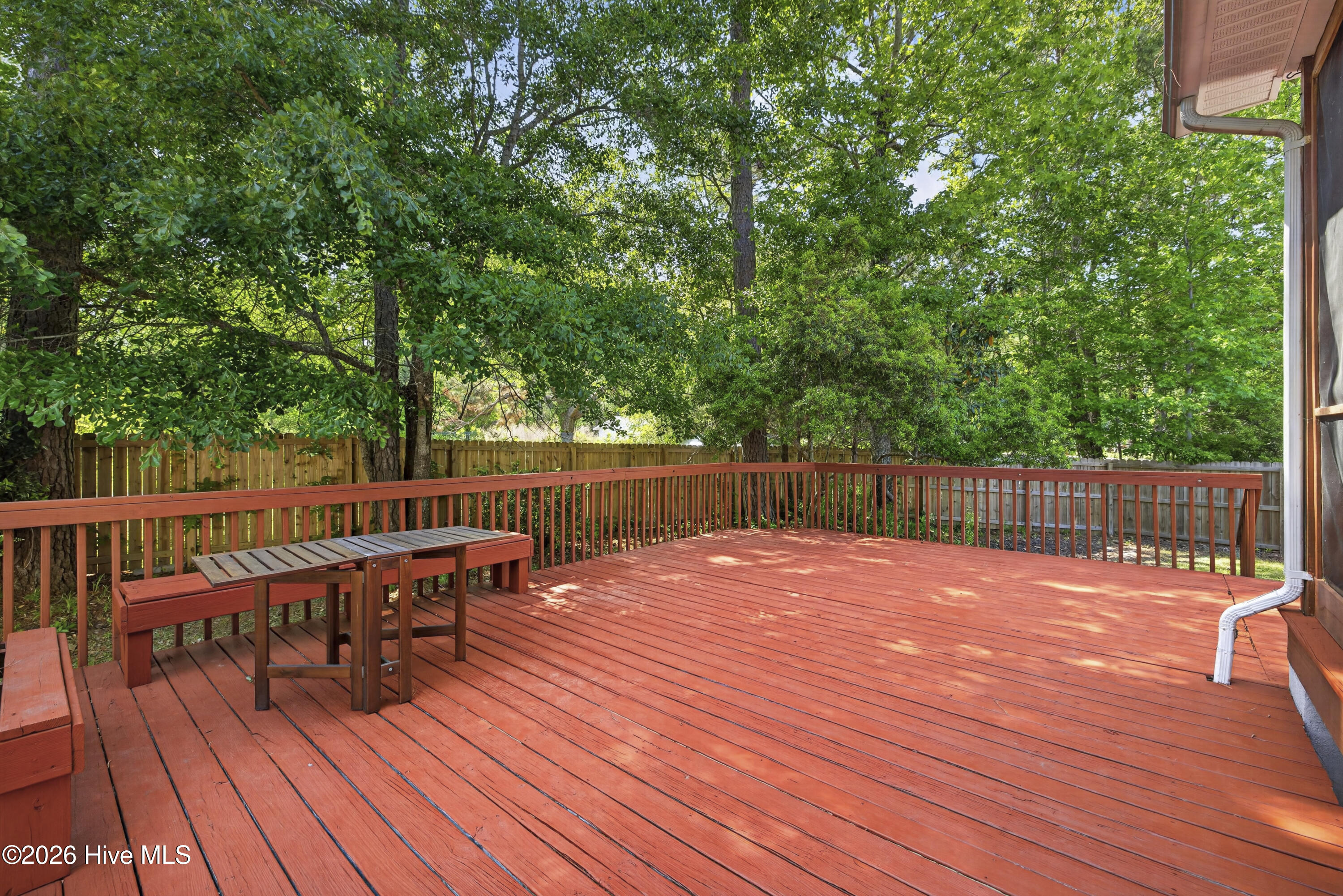 100570330 | Photo 10