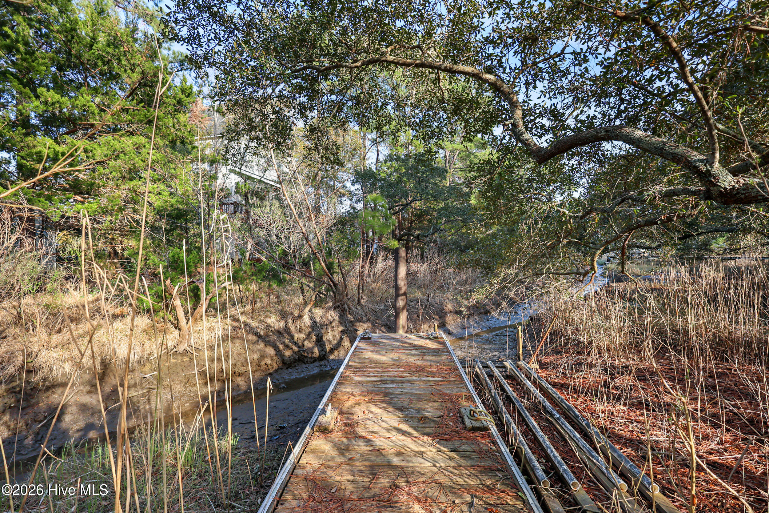 100521049 | Photo 58