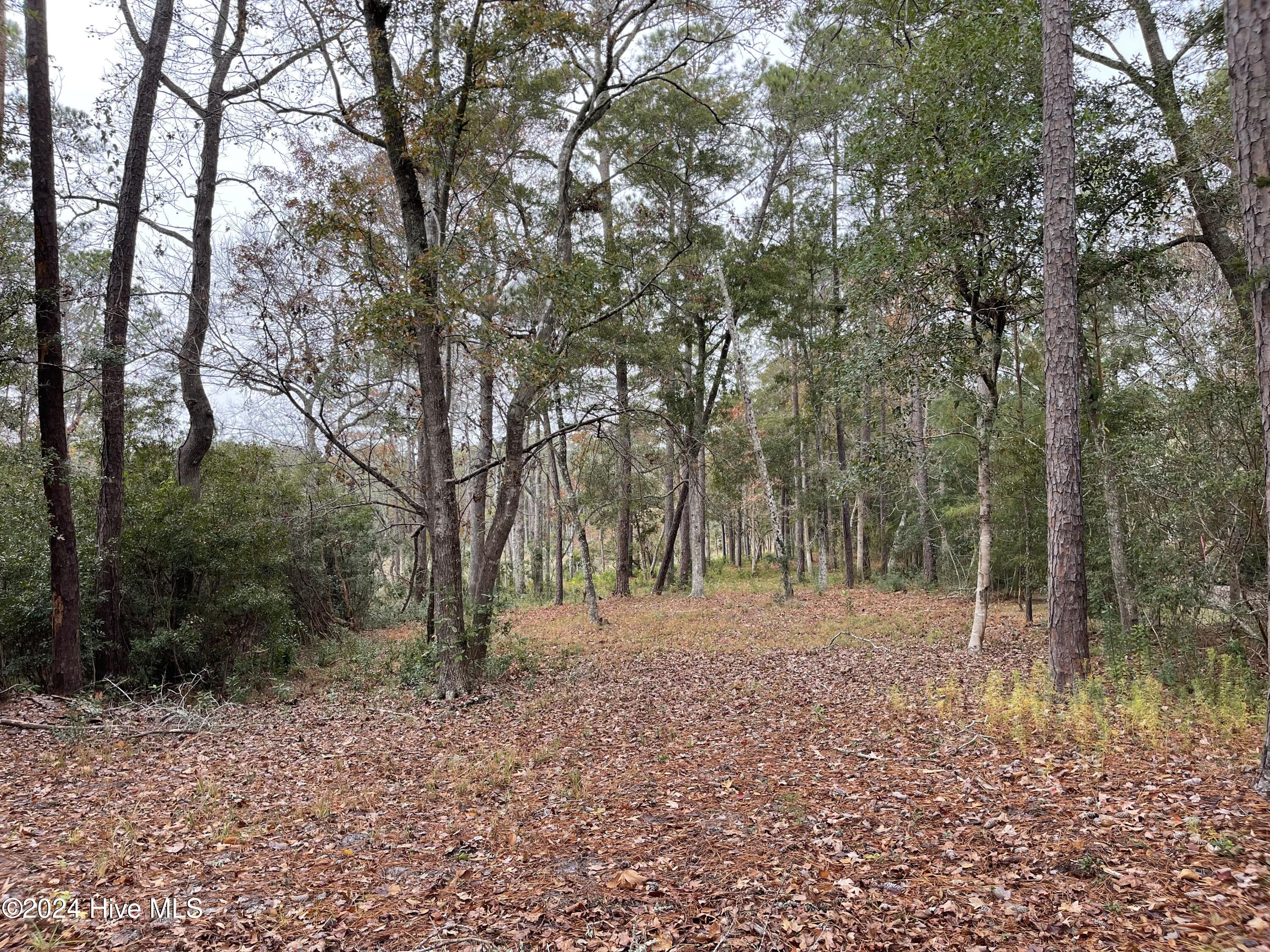 100481360 | Photo 13