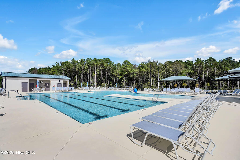 100535984 | Photo 92